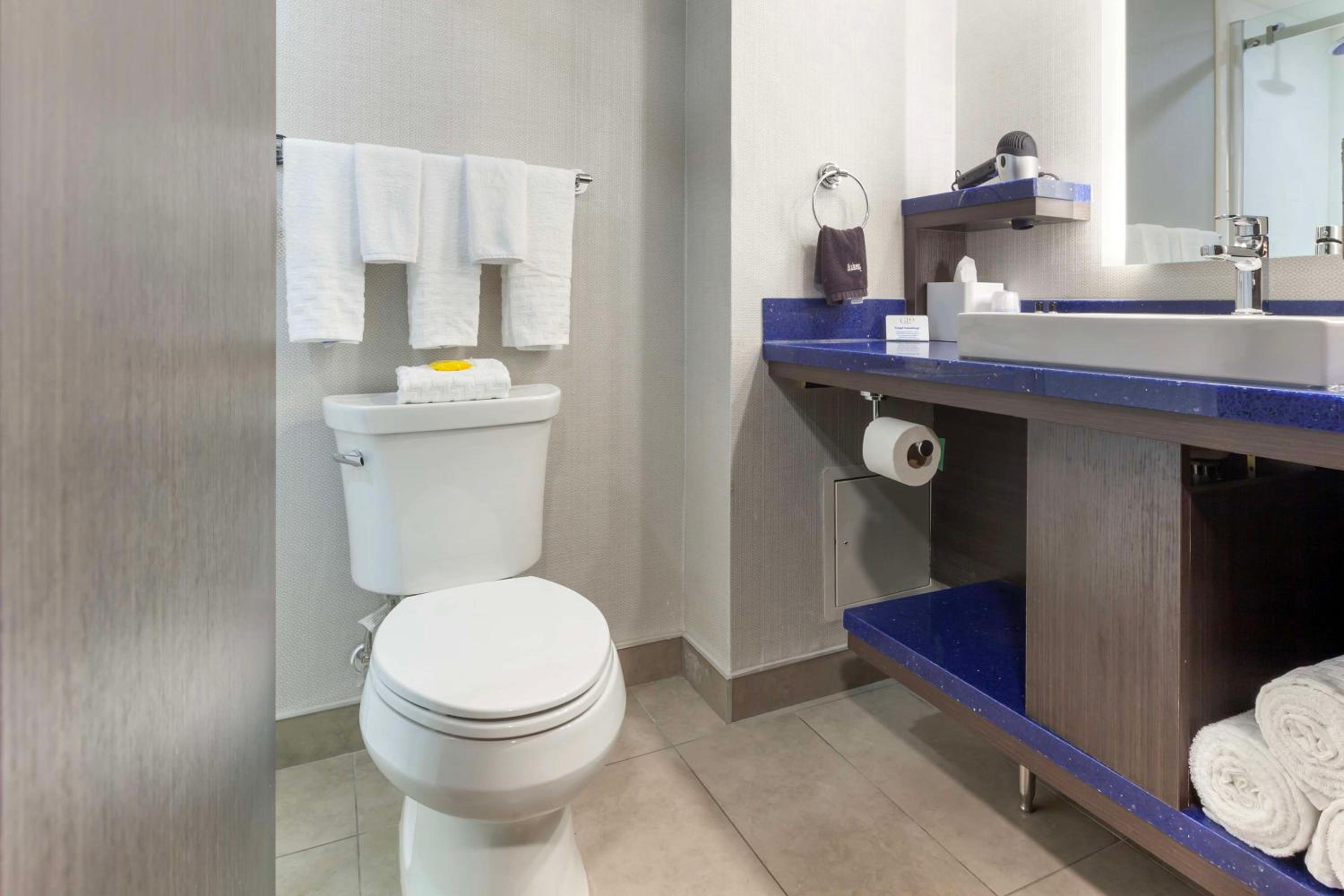 Deluxe King Suite