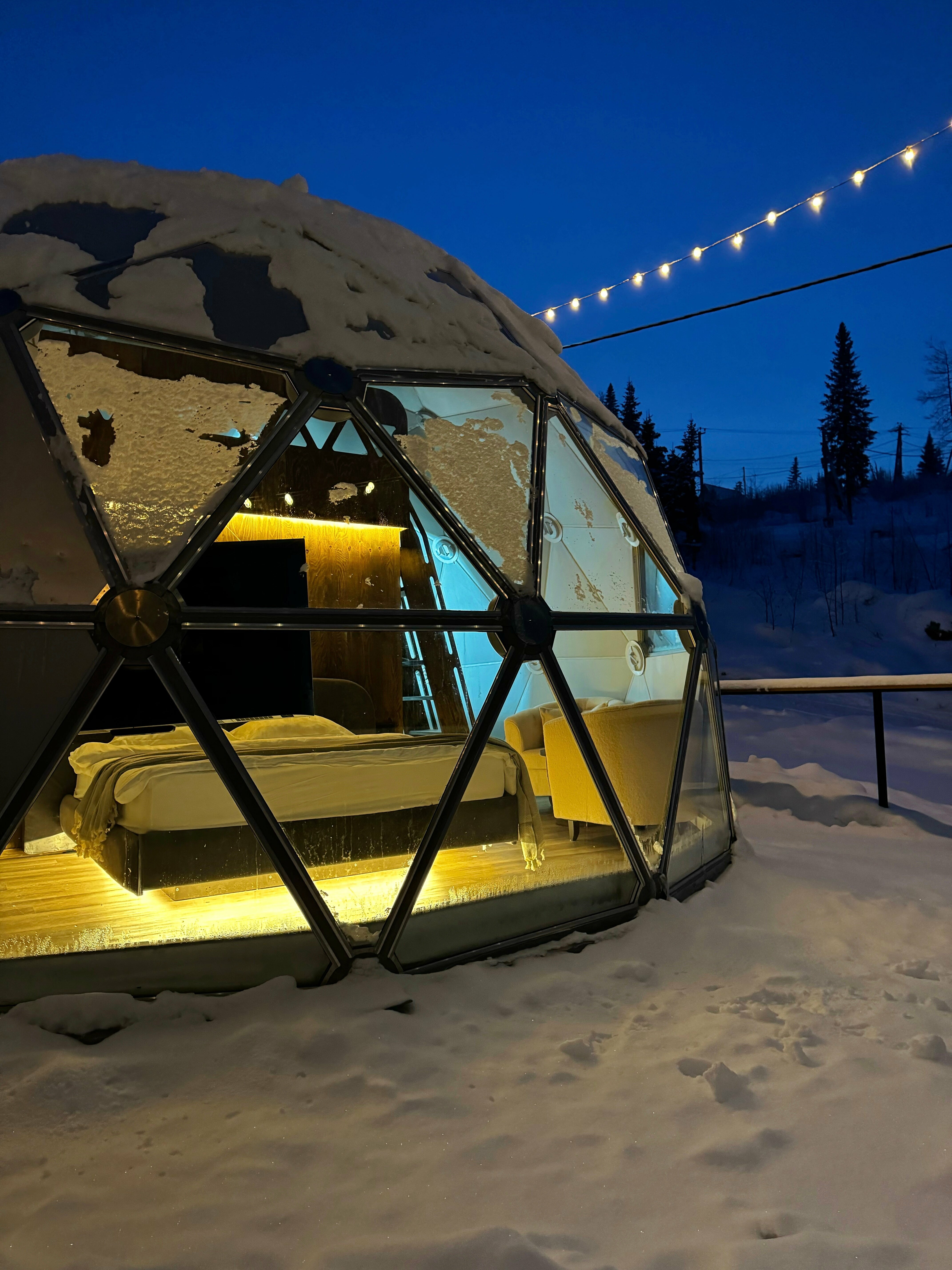 Купольный дом «WOOD» на 4 гостя