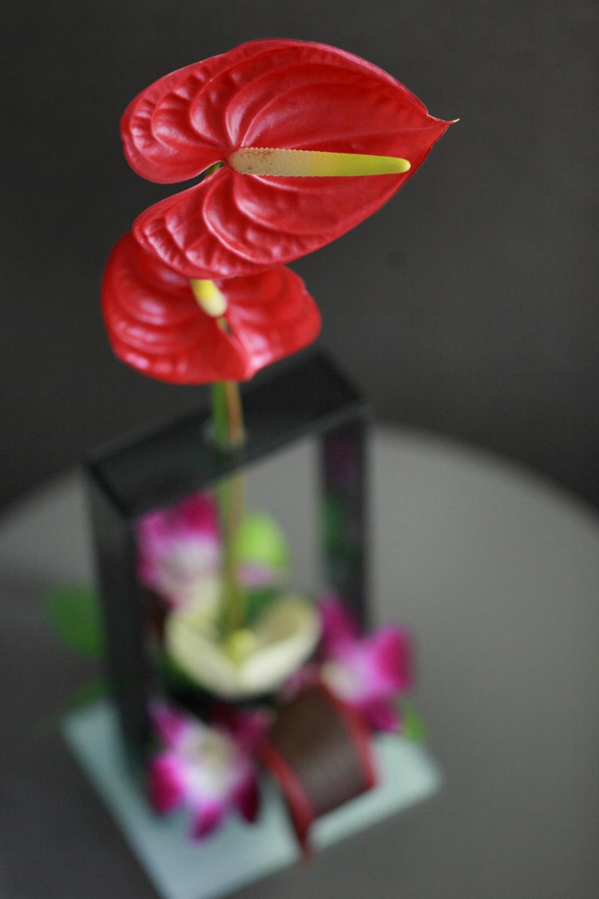 Deluxe Double Room Pool View with Free Scheduled Shuttle to Hotel’s Beach Facility