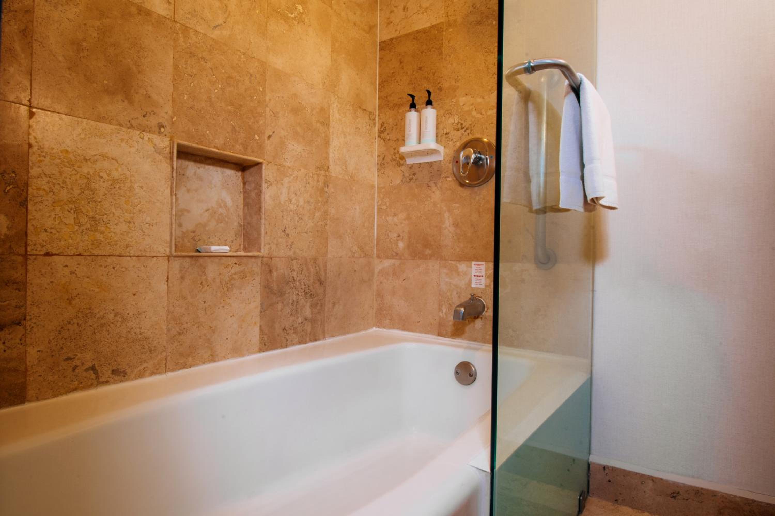 One-Bedroom King Suite