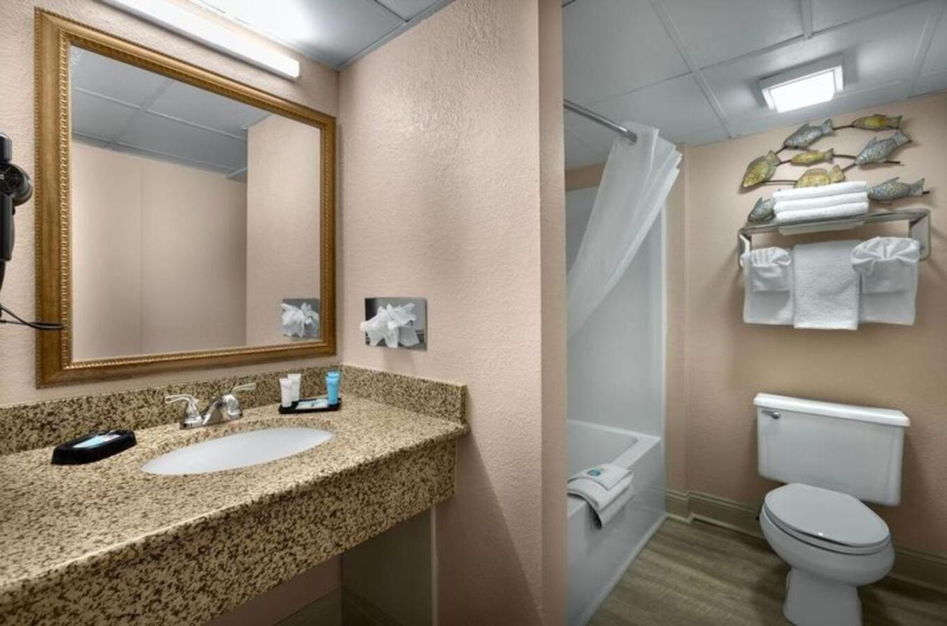 Tower Oceanview King Room - 1 King Bed