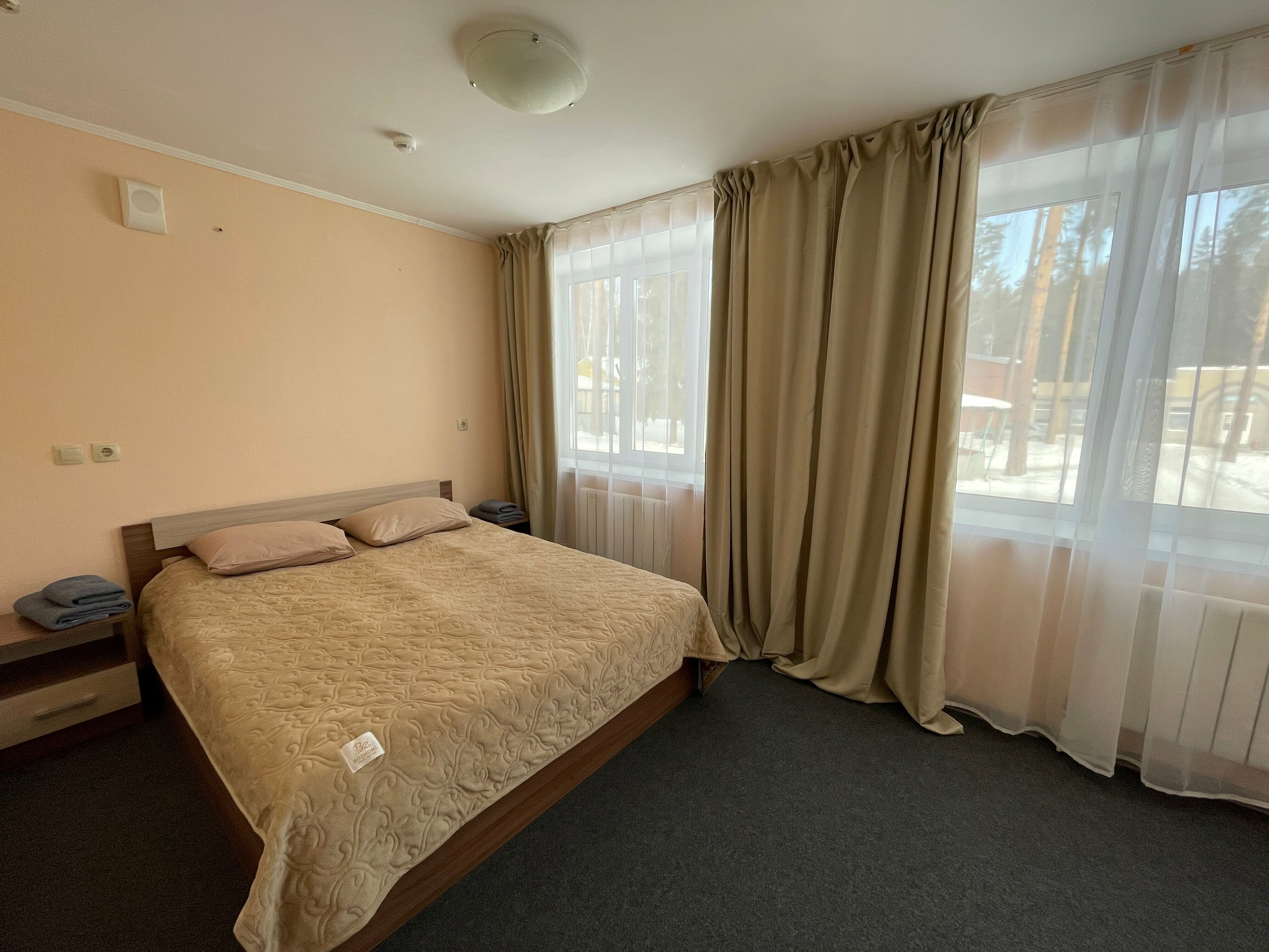 Двухместный номер с 1 кроватью