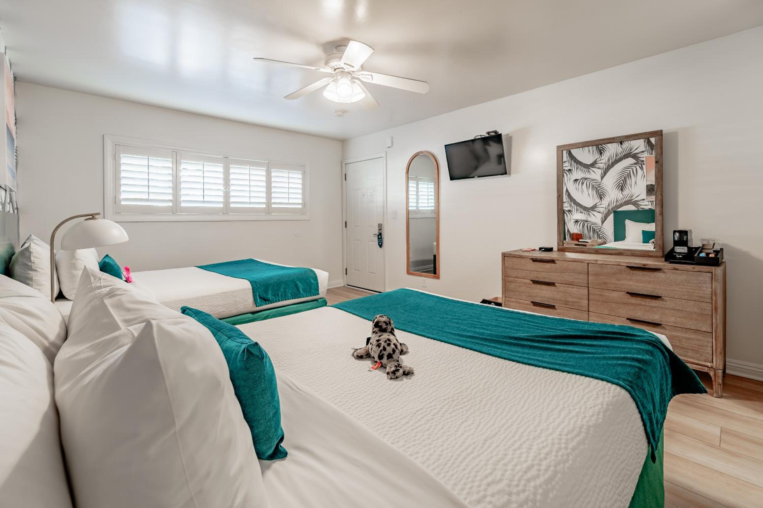 Double Room - Disability Access