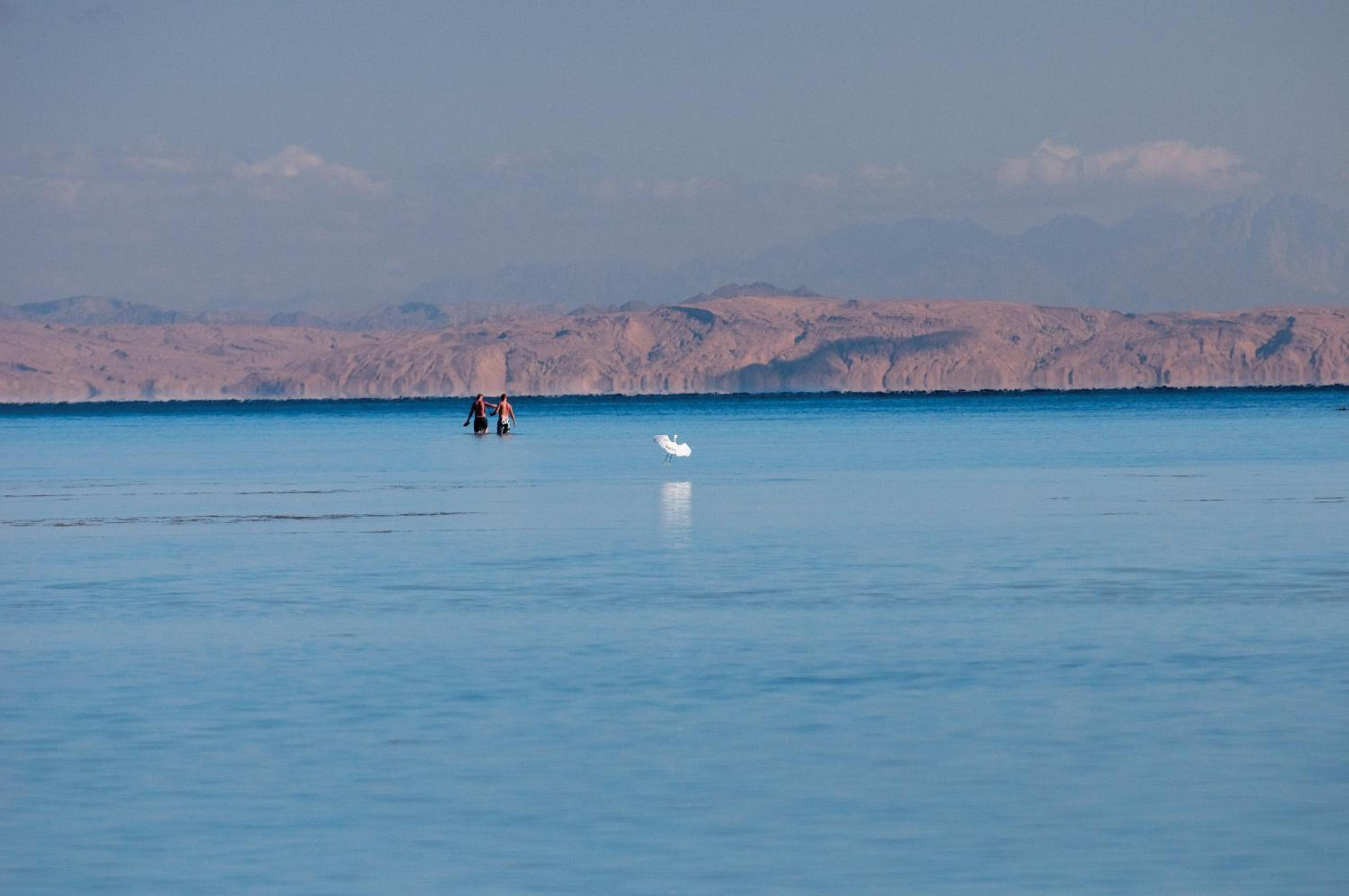 Superior Double or Twin Room with Sea View