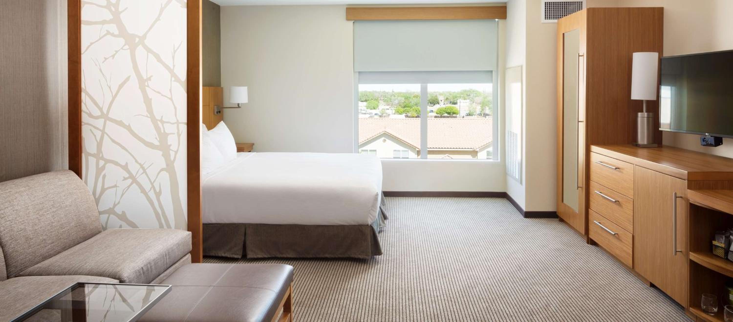 King Room with Sofa Bed and Accessible Tub - Disability Access