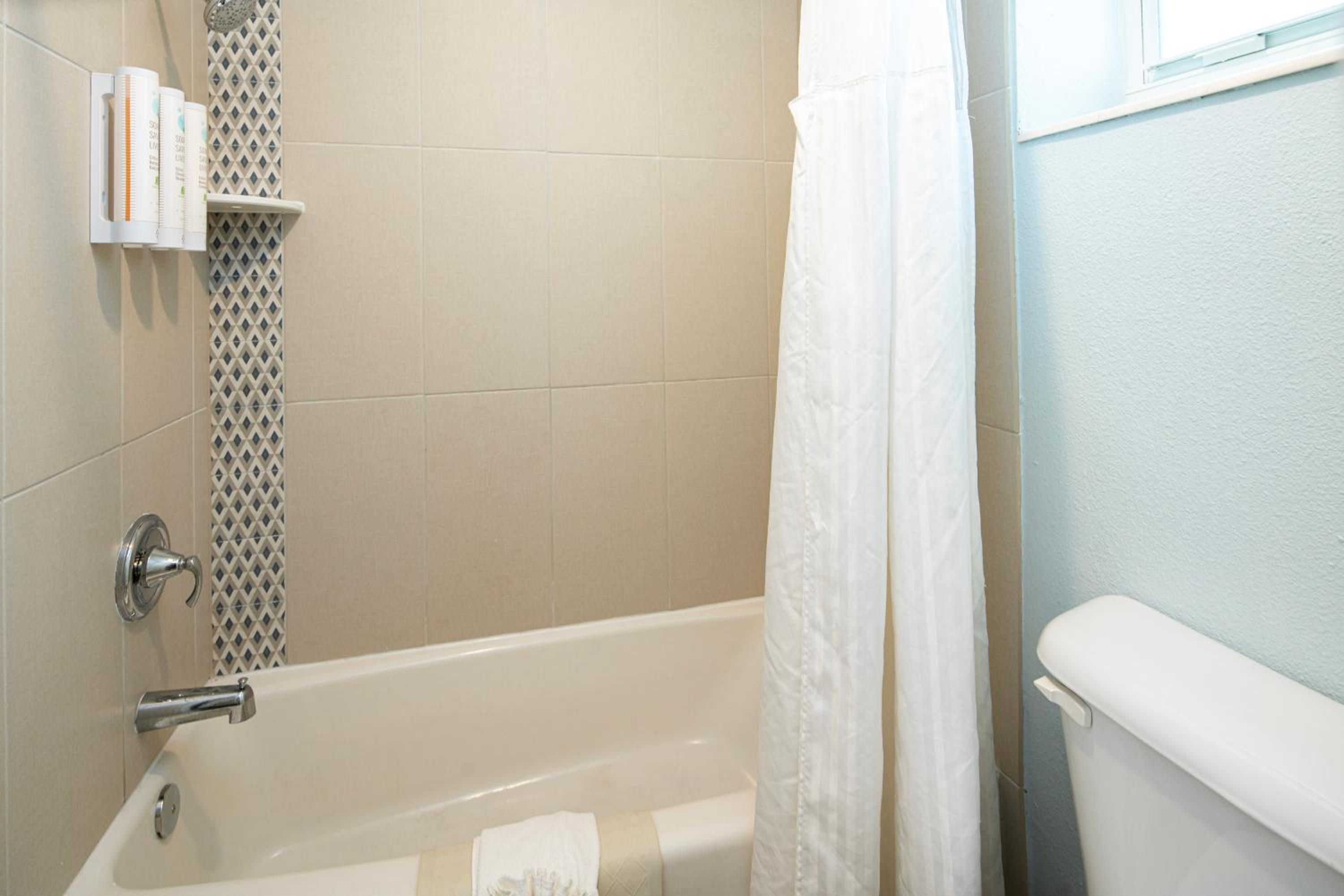 Studio with Garden View