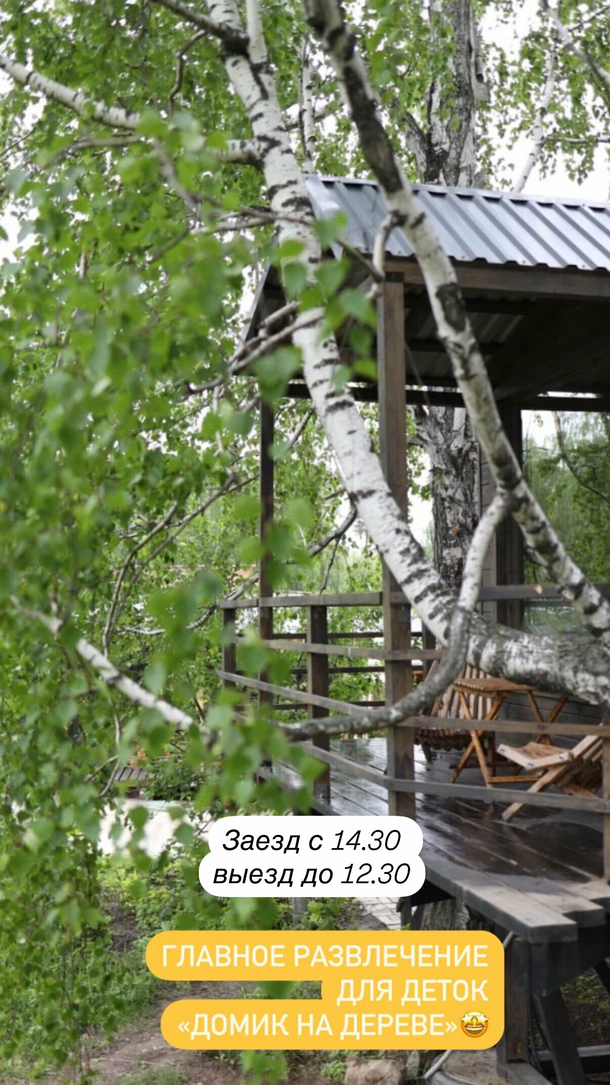Домик на ДЕРЕВЕ