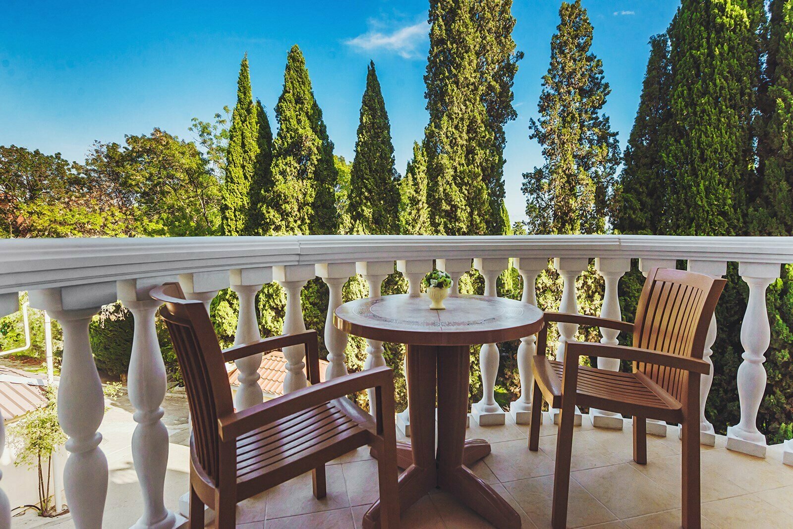 Полулюкс (вид на парк)