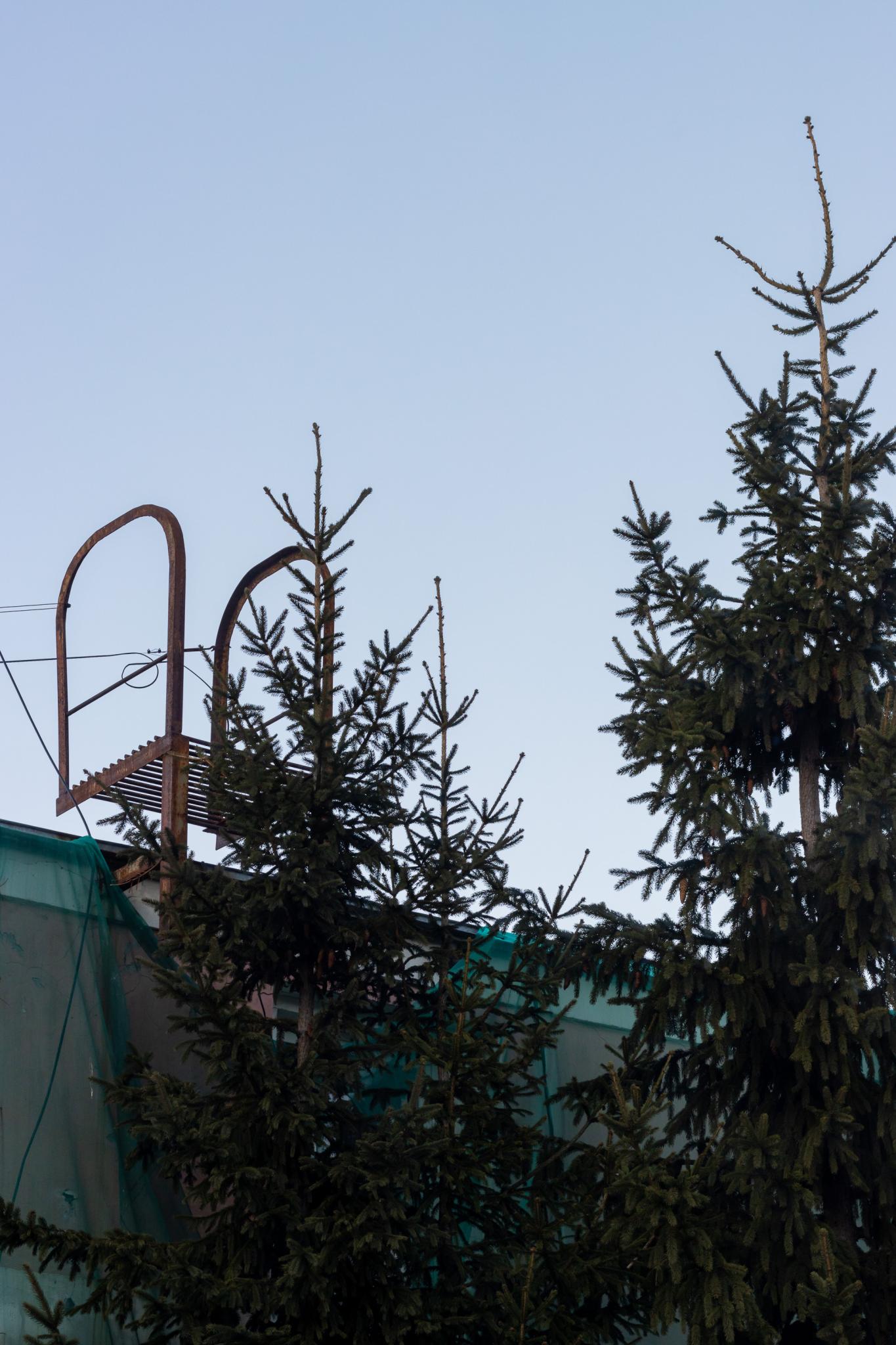 Номер стандарт улучшенный