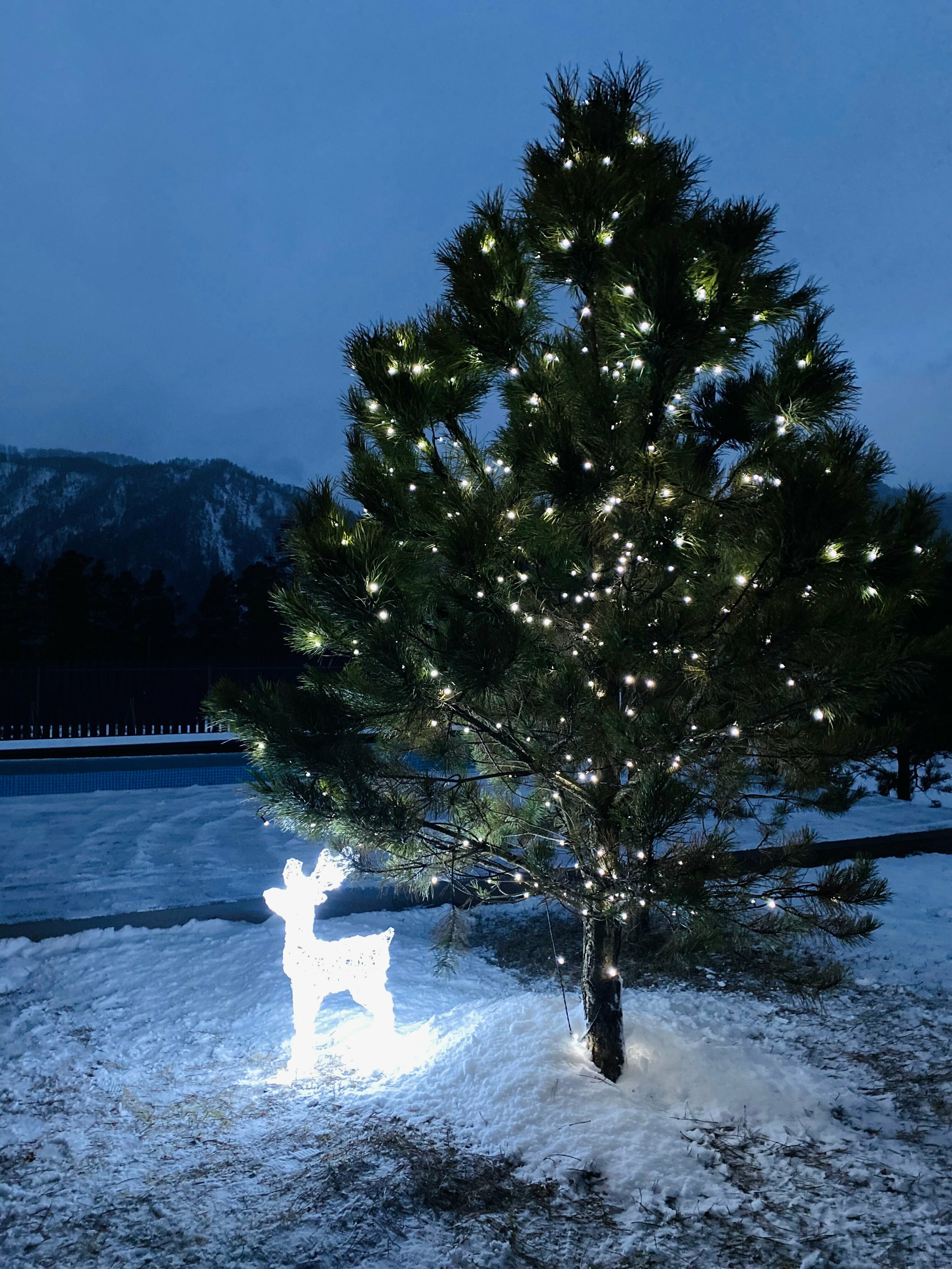 Четырехместный номер с видом на горы