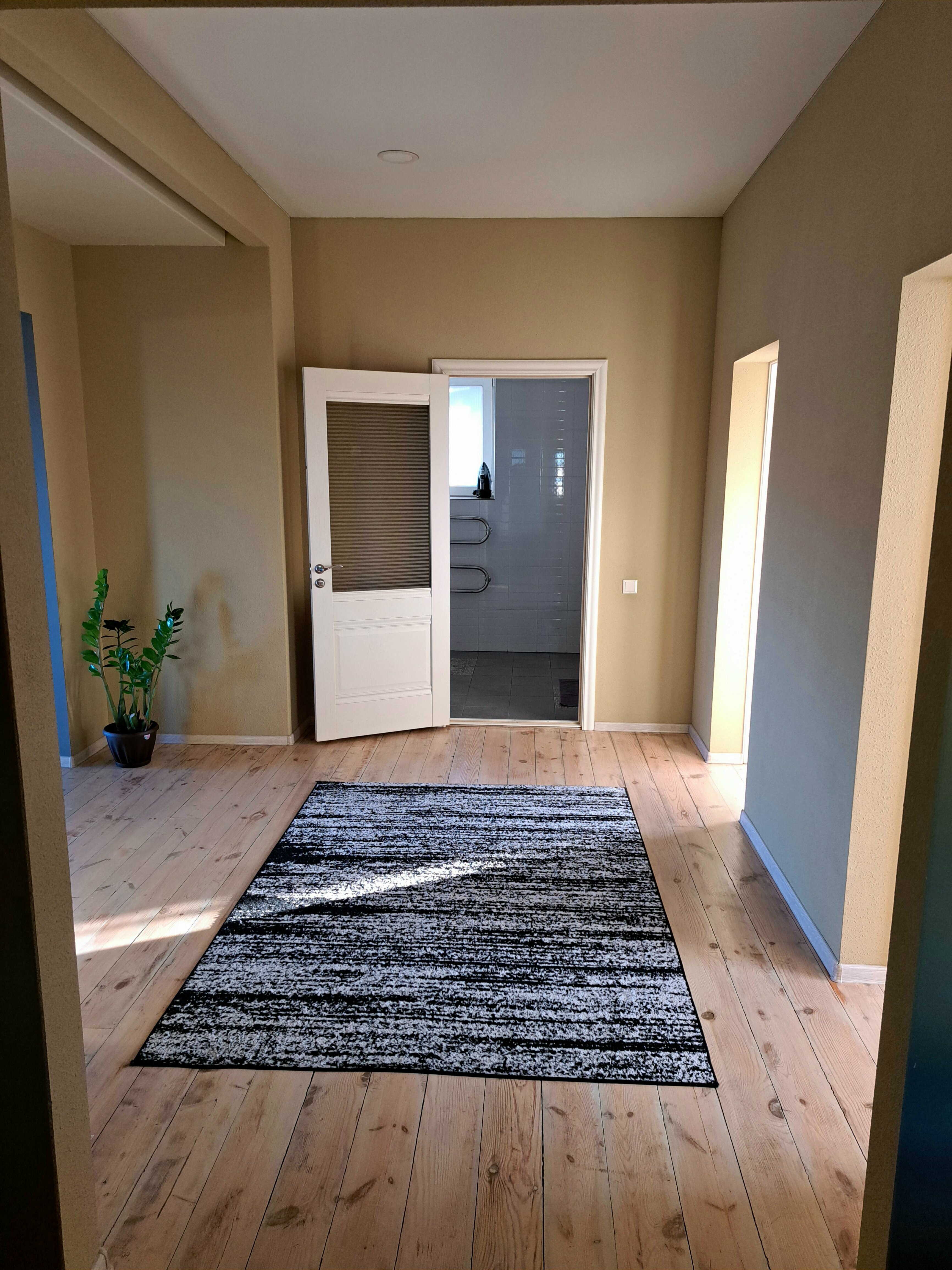 Апартаменты с террасой 