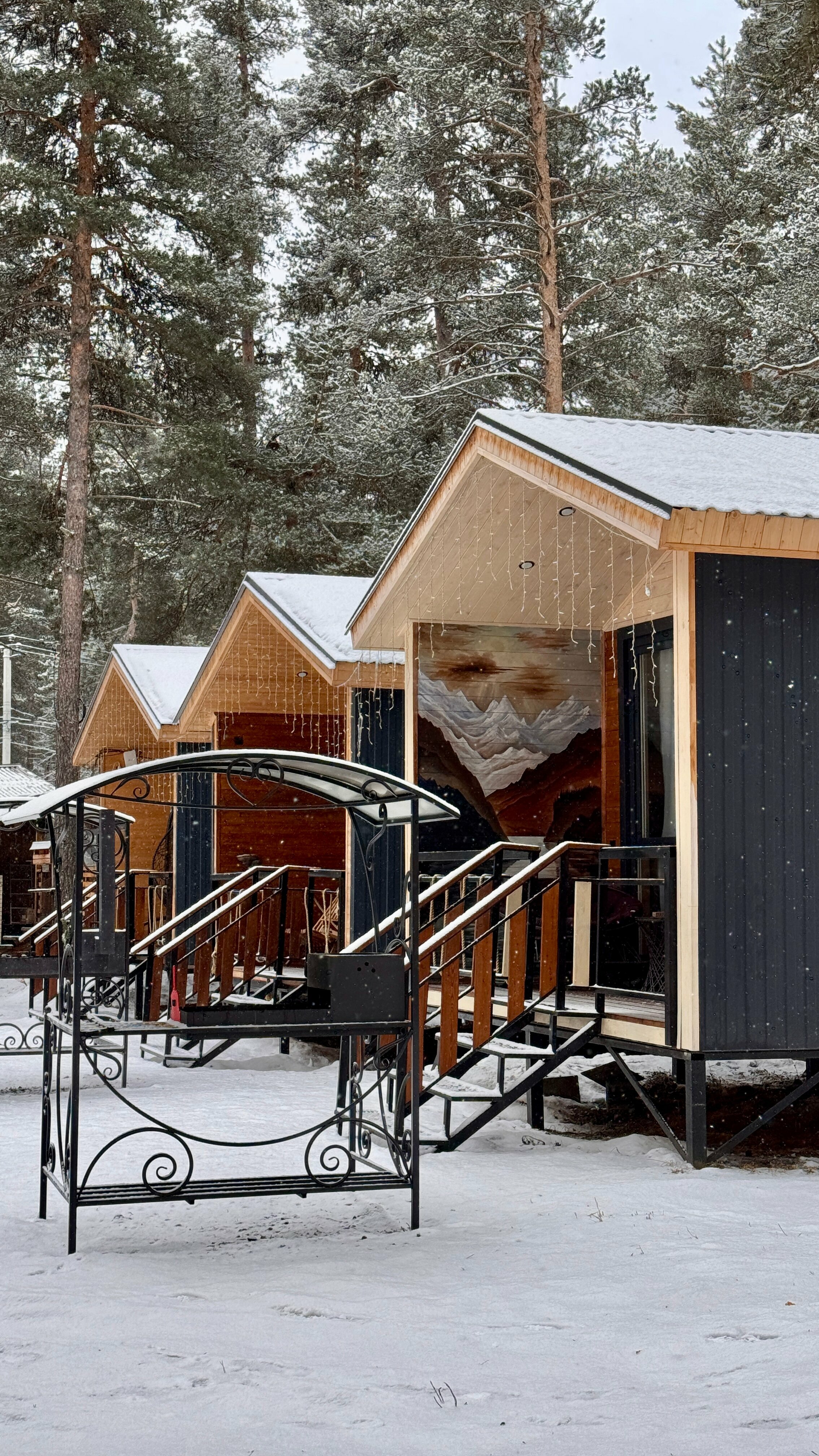 Дом с видом на лес