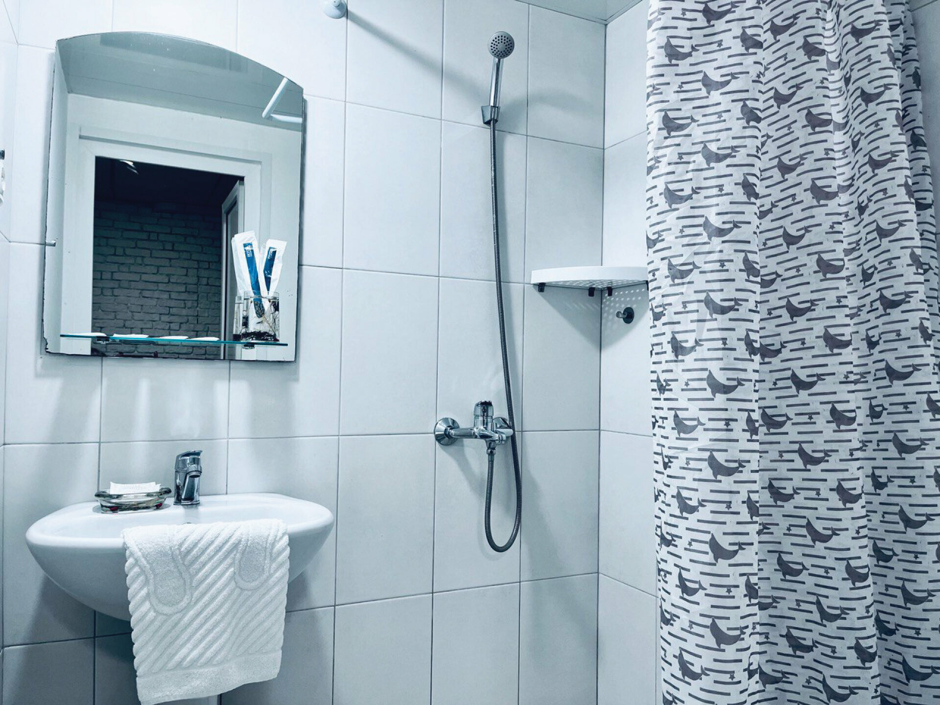 Апартаменты с 1 спальней