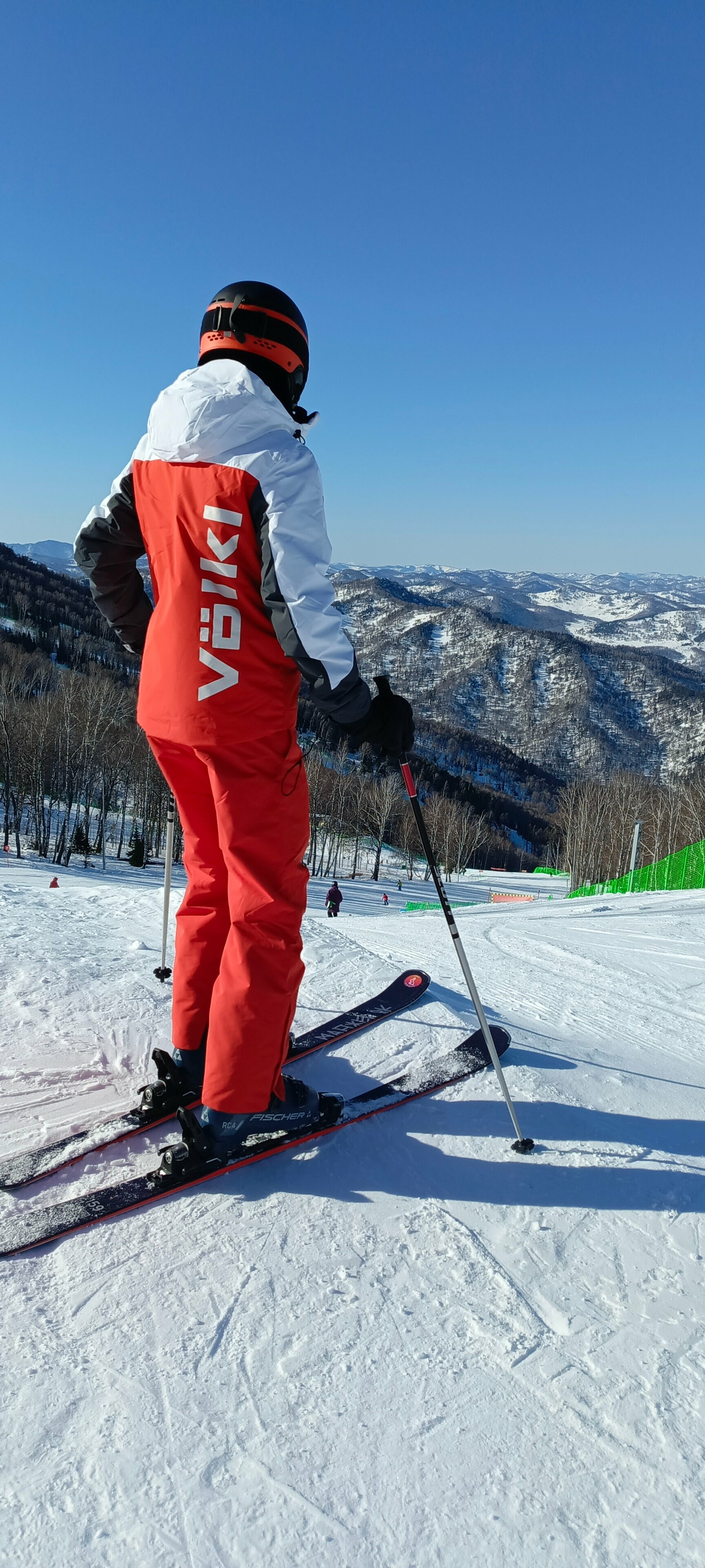 Дом с видом на лес