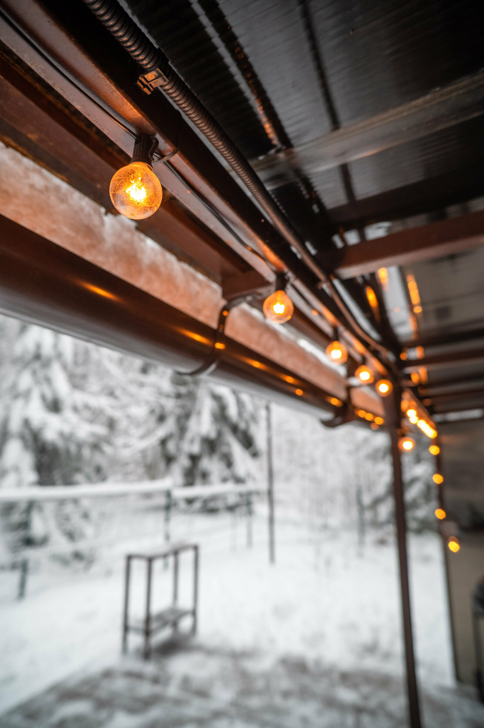 Дом с видом на лес