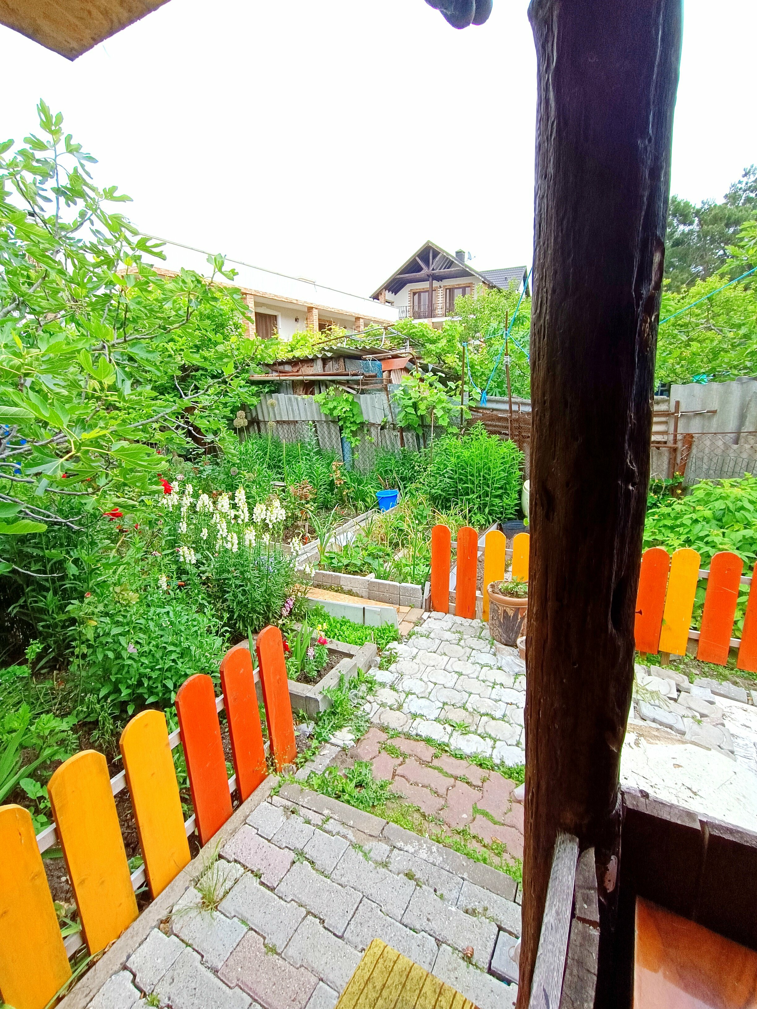 Двухместный номер с 2 отдельными кроватями и общей ванной комнатой