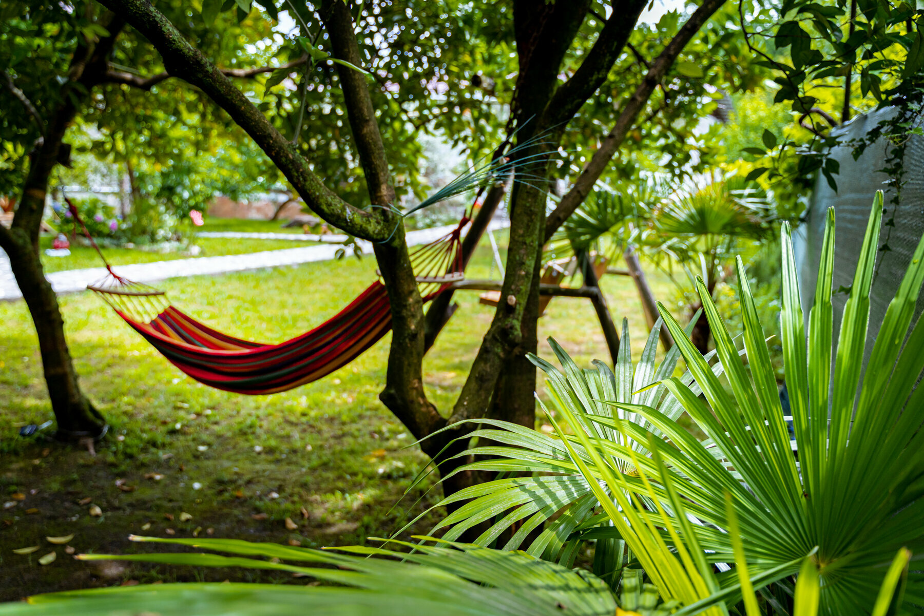 Стандартный номер с 2 односпальными кроватями и диваном