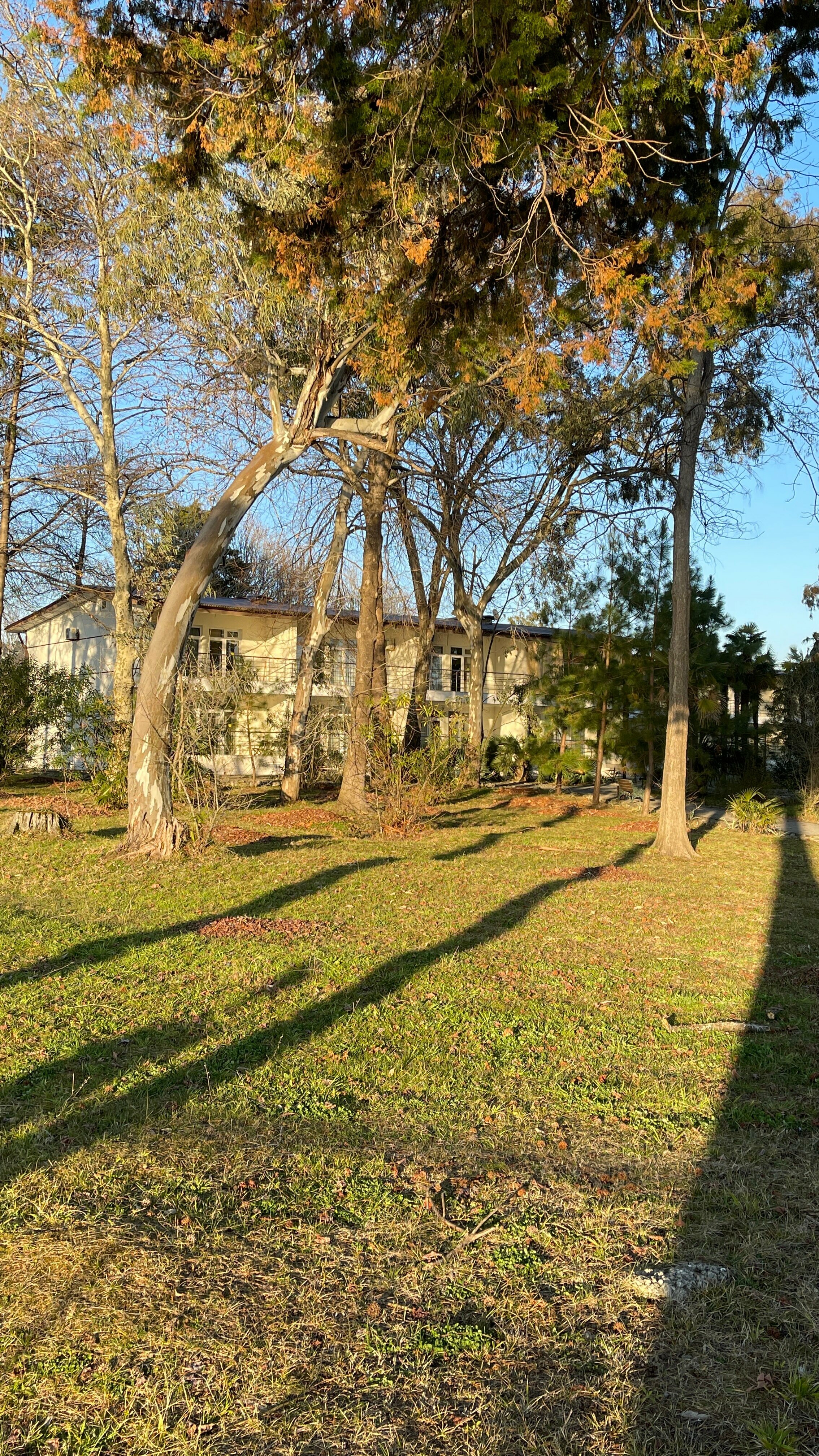 Апартаменты с видом на море