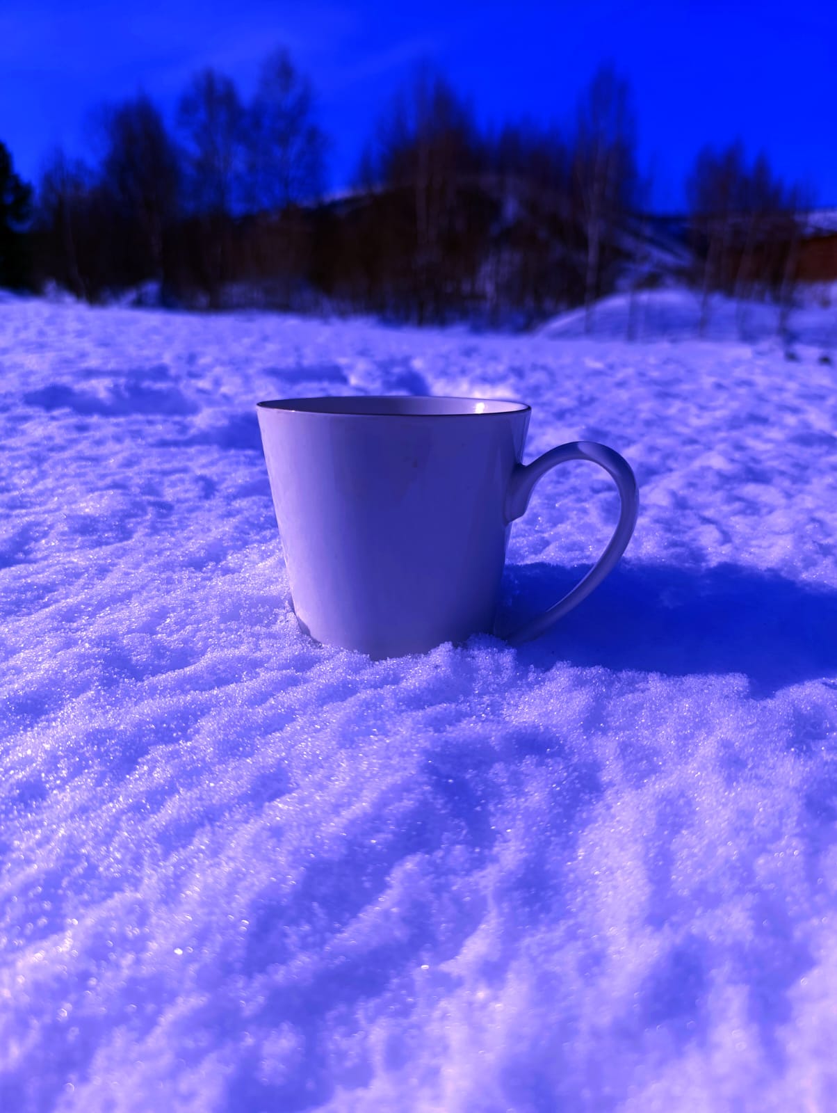 Семейный номер с видом на горы