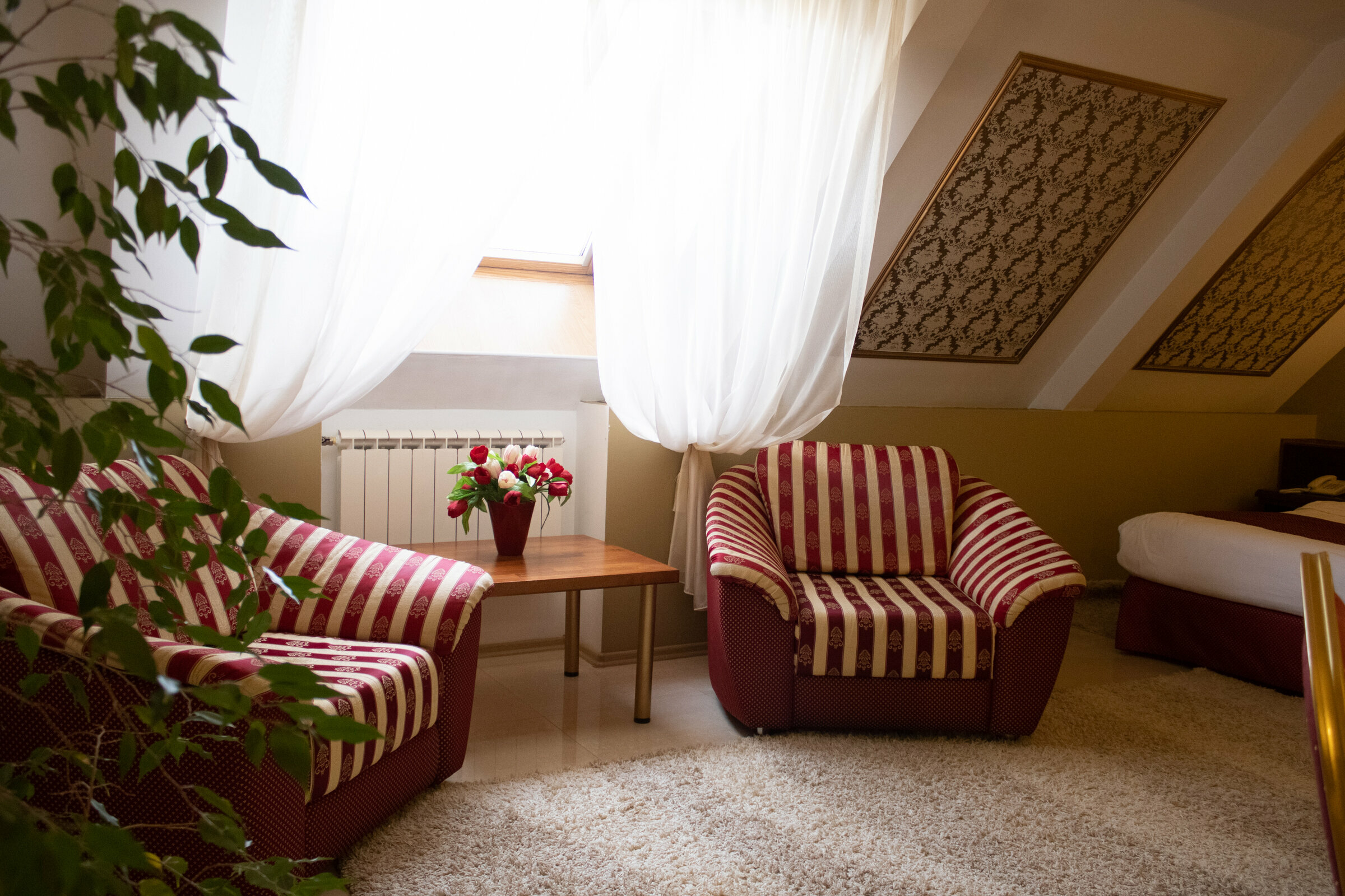 Люкс-студия