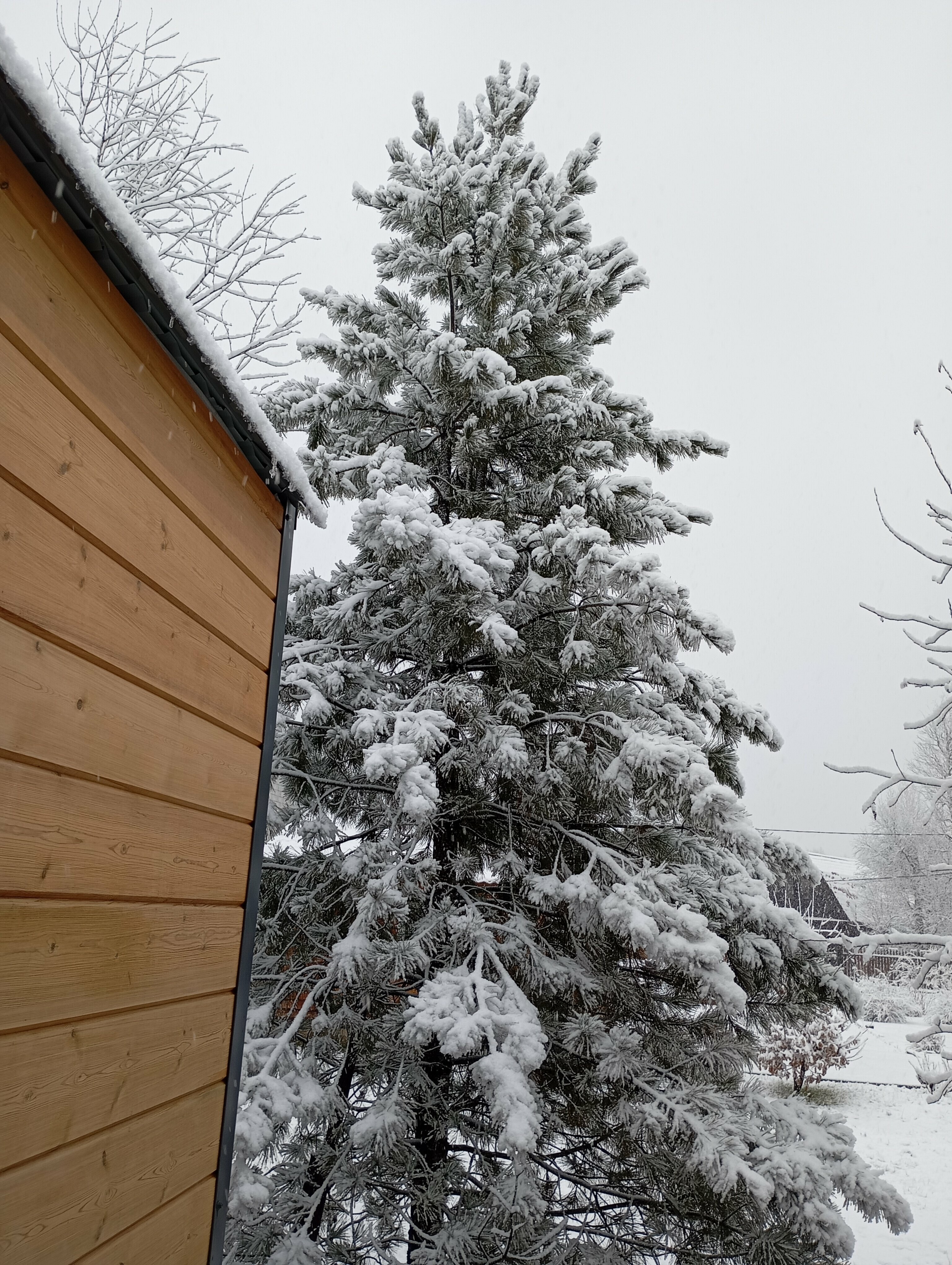 Стандартный номер с двумя кроватями размера «queen-size»