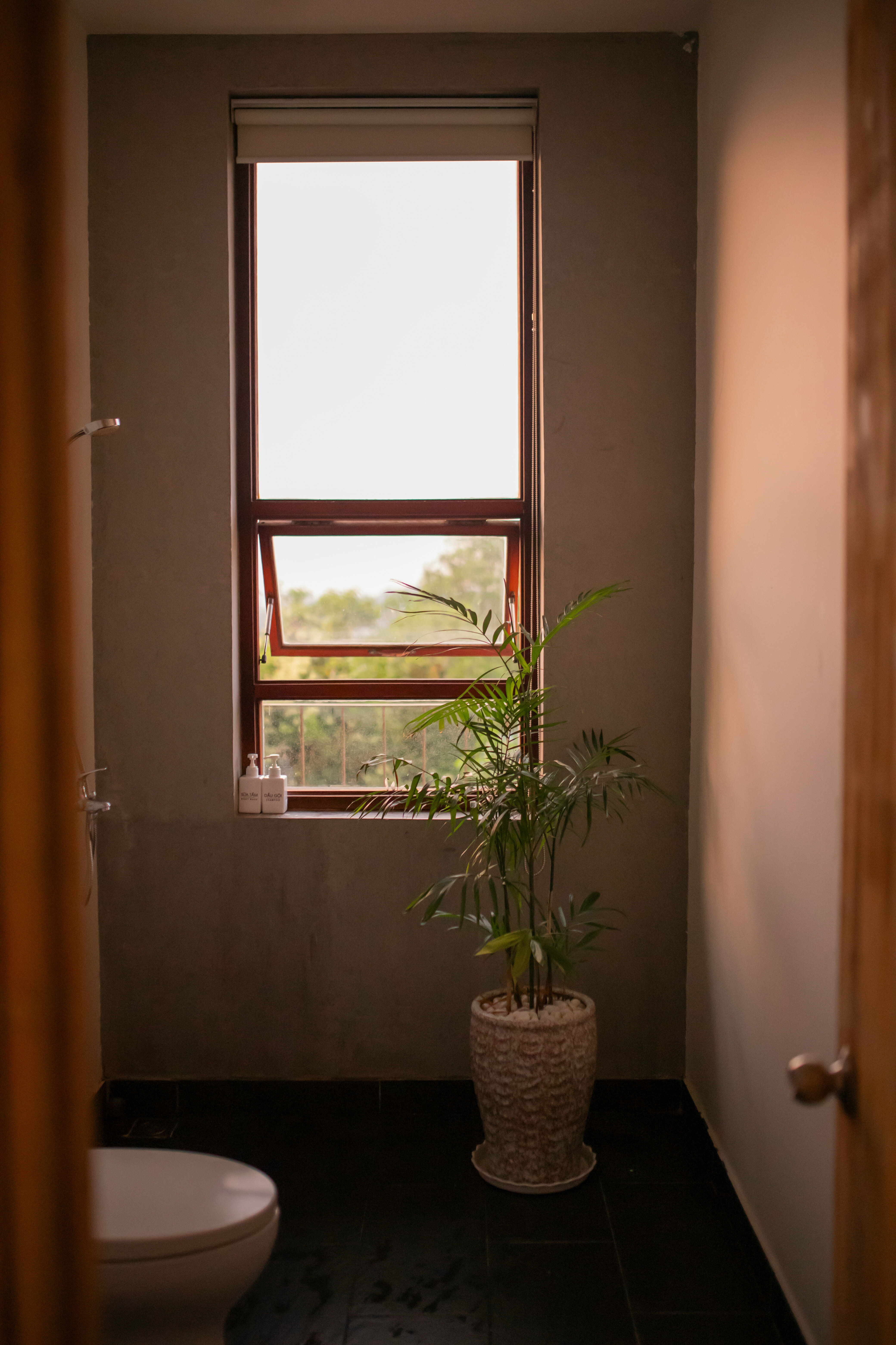 Двухместный номер Делюкс с 1 кроватью и балконом, вид на море