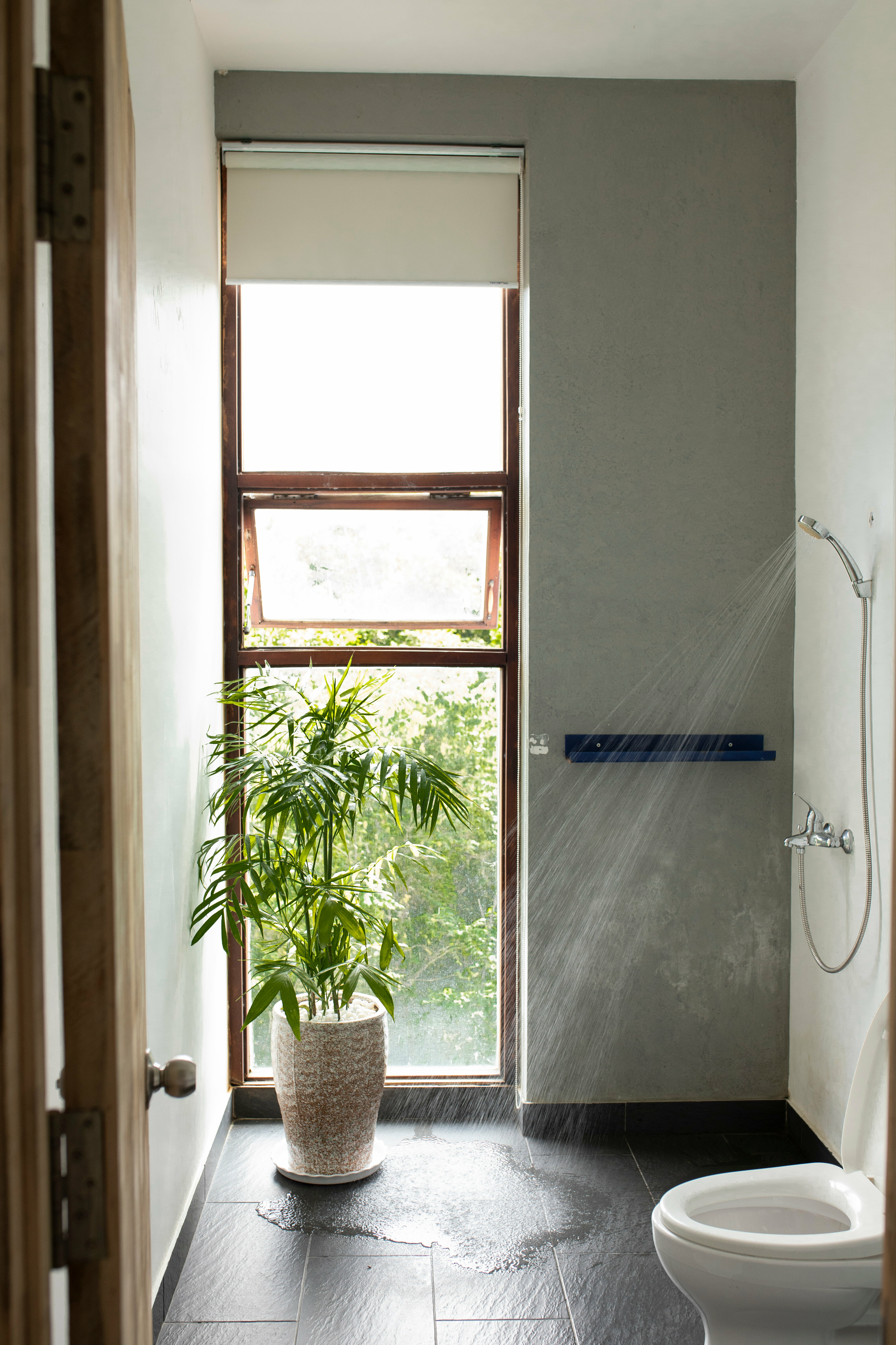 Номер-студия Делюкс с кроватью размера «king-size»