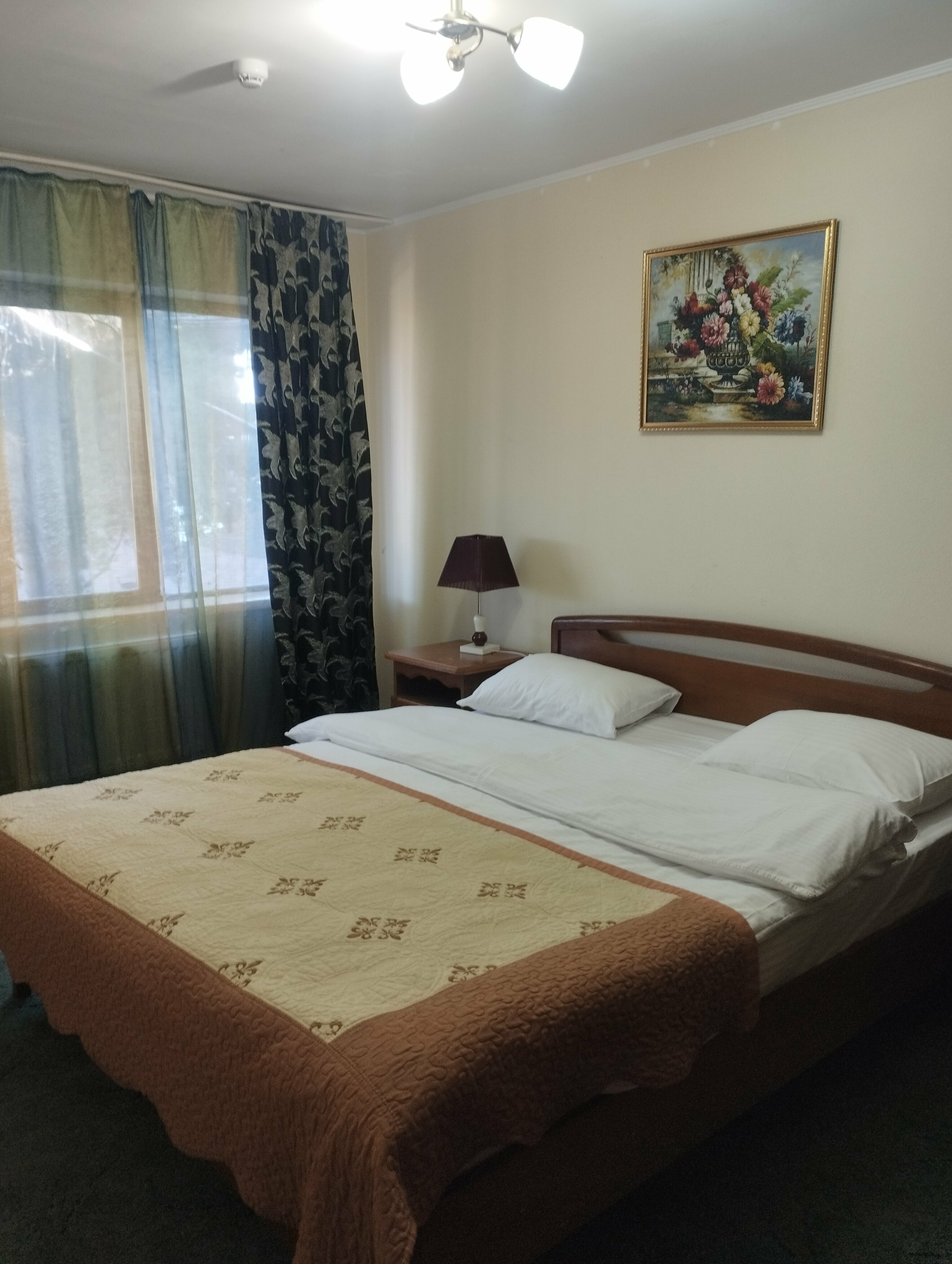 Двухместный номер с 1 кроватью и террасой