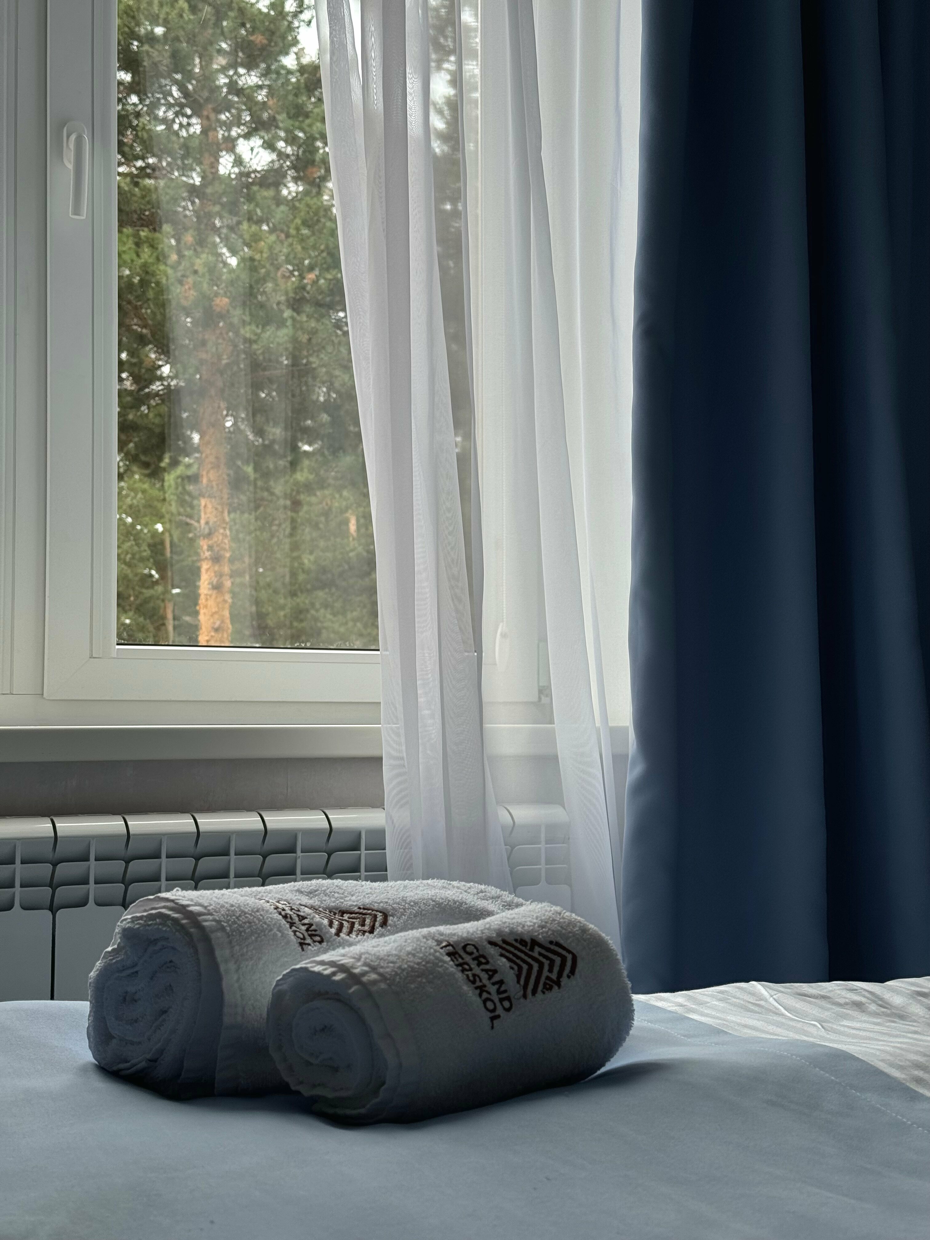 Двухместный номер Делюкс с 1 кроватью или 2 отдельными кроватями