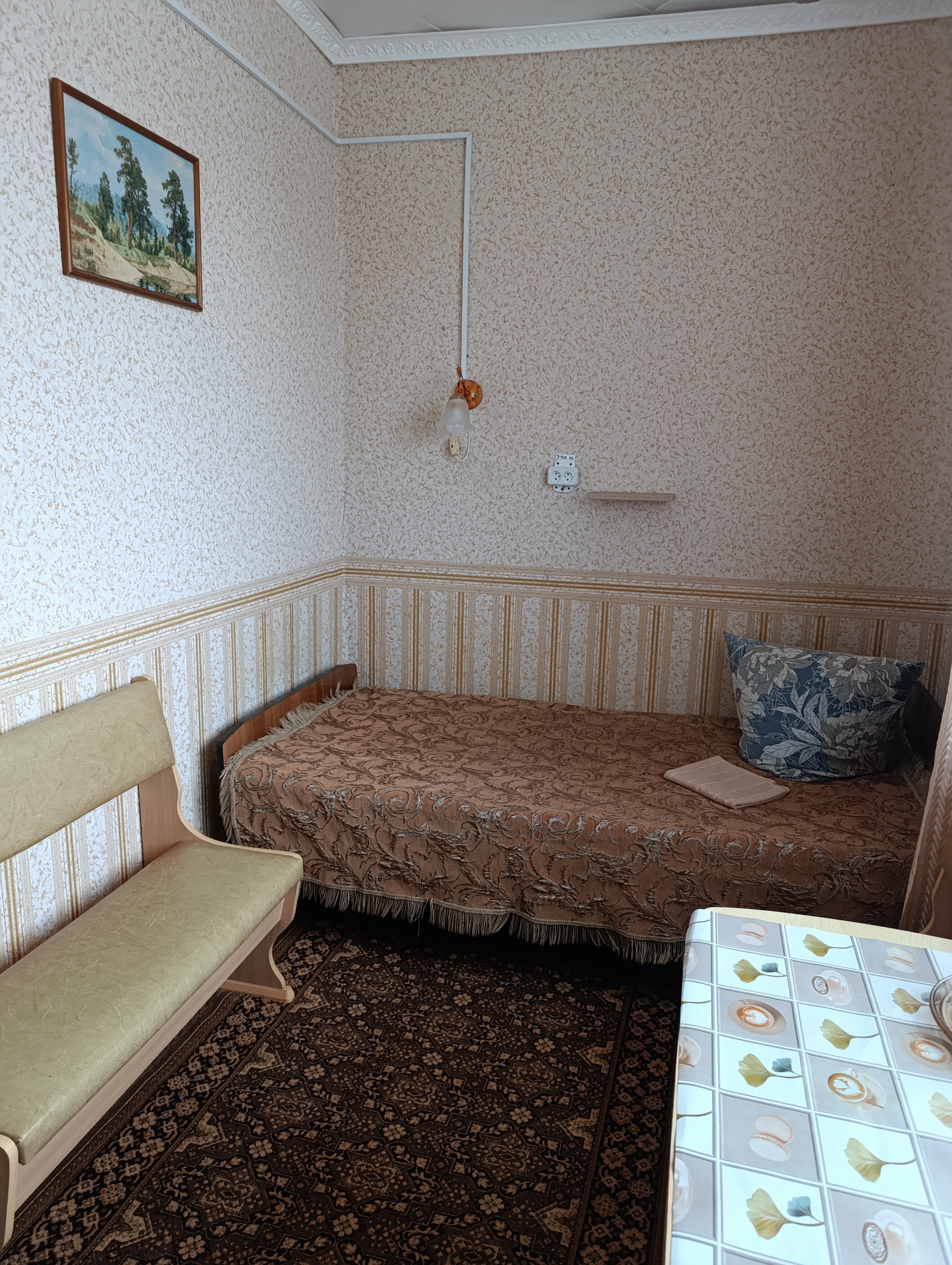 Бюджетный двухместный номер с 2 отдельными кроватями и санузлом