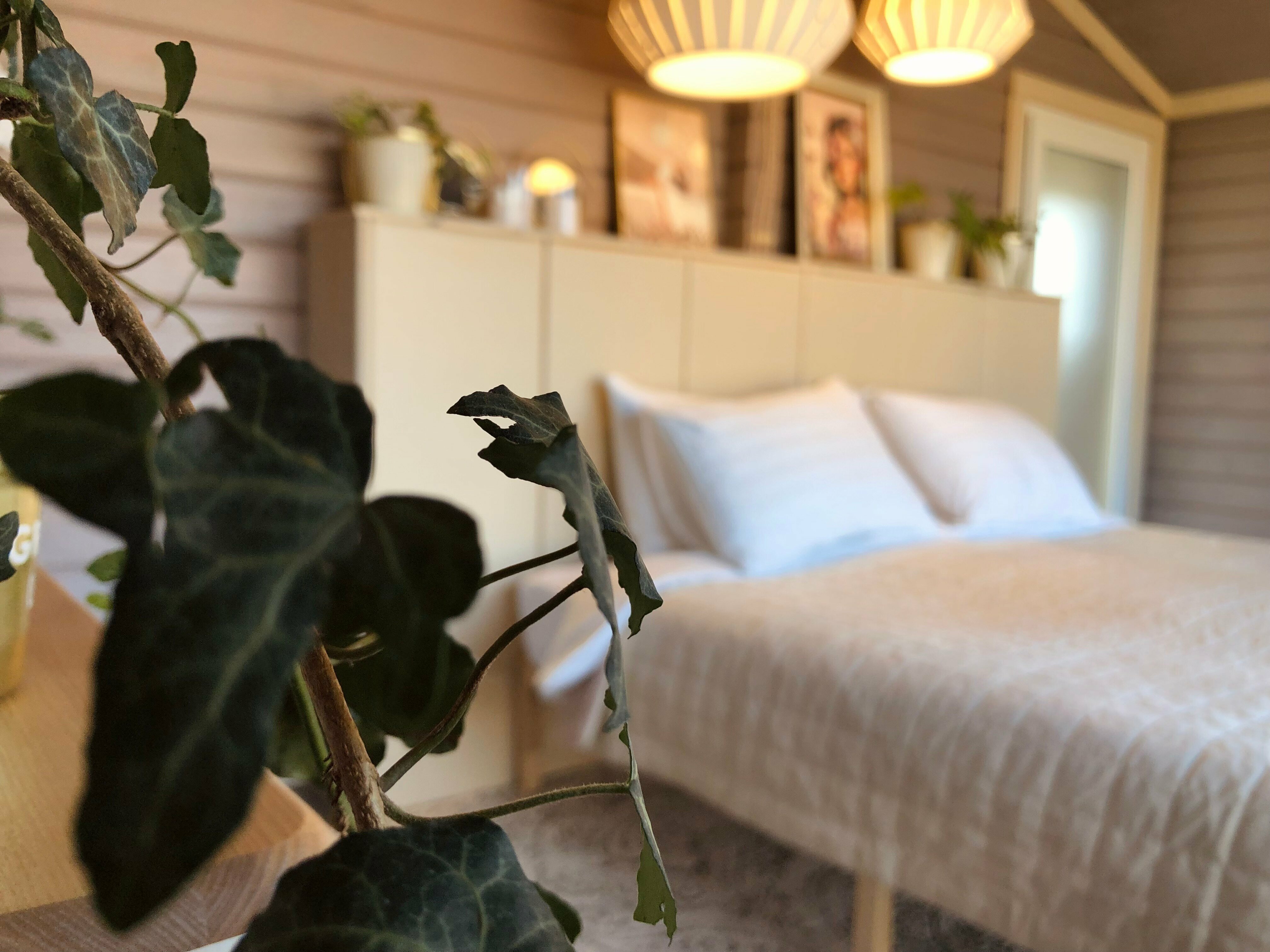 Улучшенный двухместный номер с 1 кроватью или 2 отдельными кроватями, вид на горы