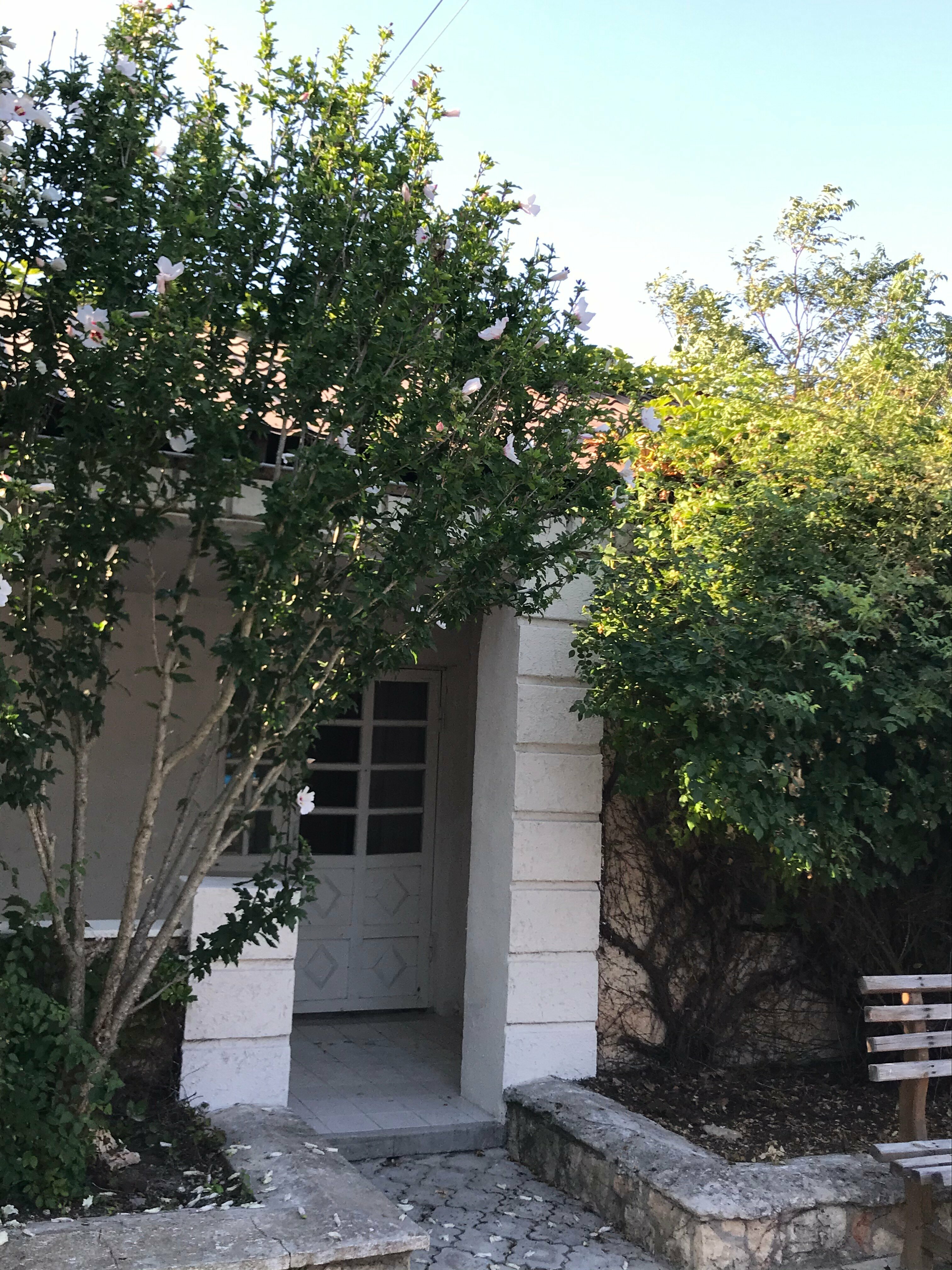 Двухместный номер с 2 отдельными кроватями и террасой