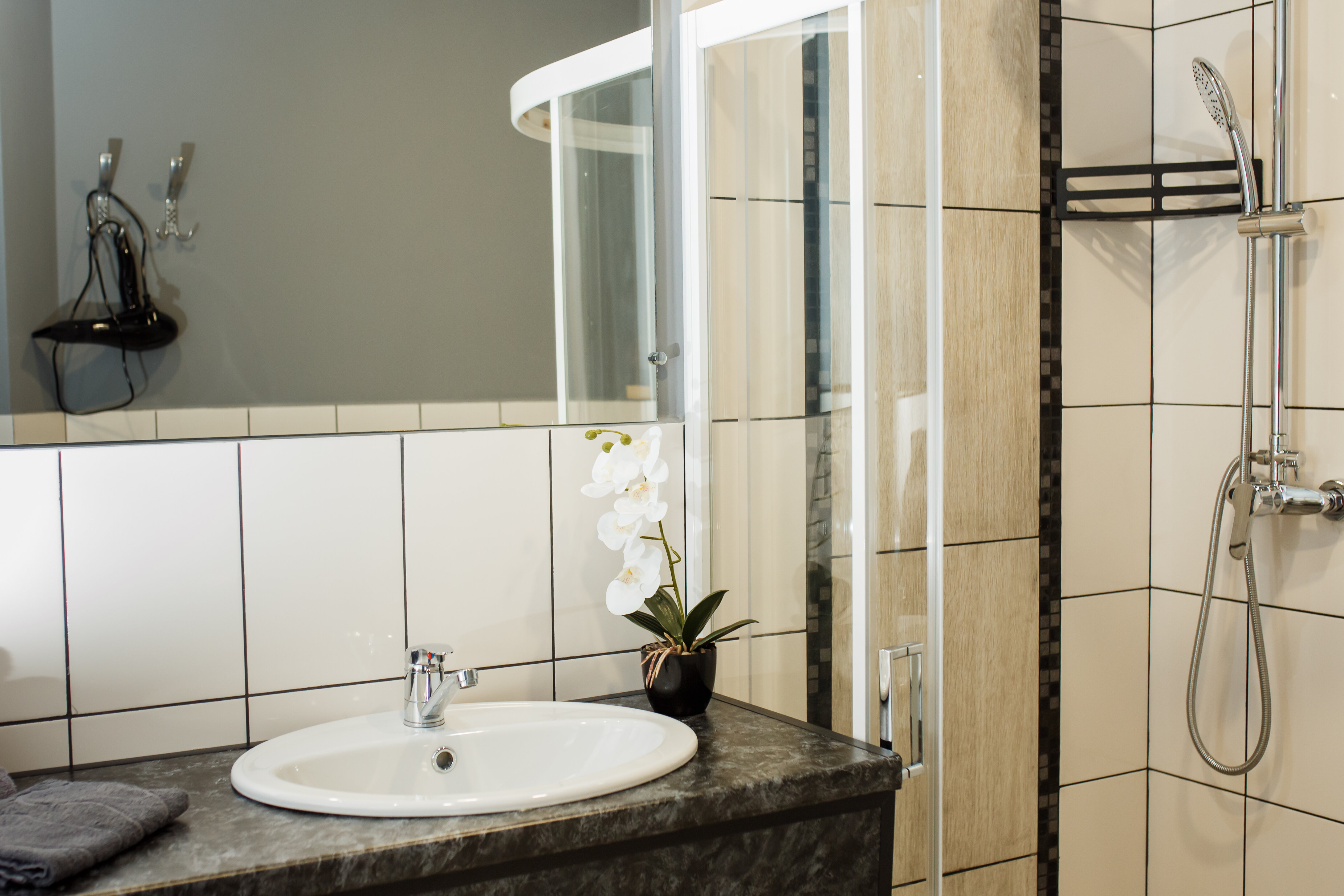 Двухместный номер с 1 кроватью или 2 отдельными кроватями