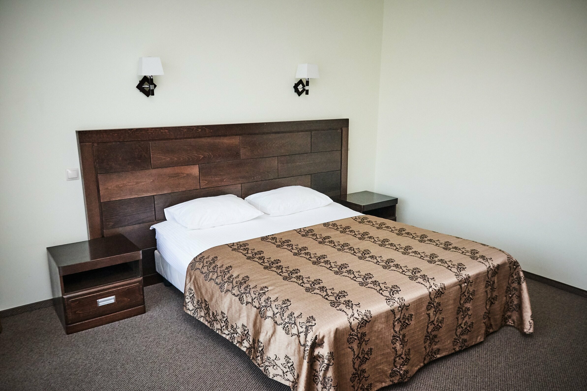 Двухместный номер с 1 кроватью и видом на парк