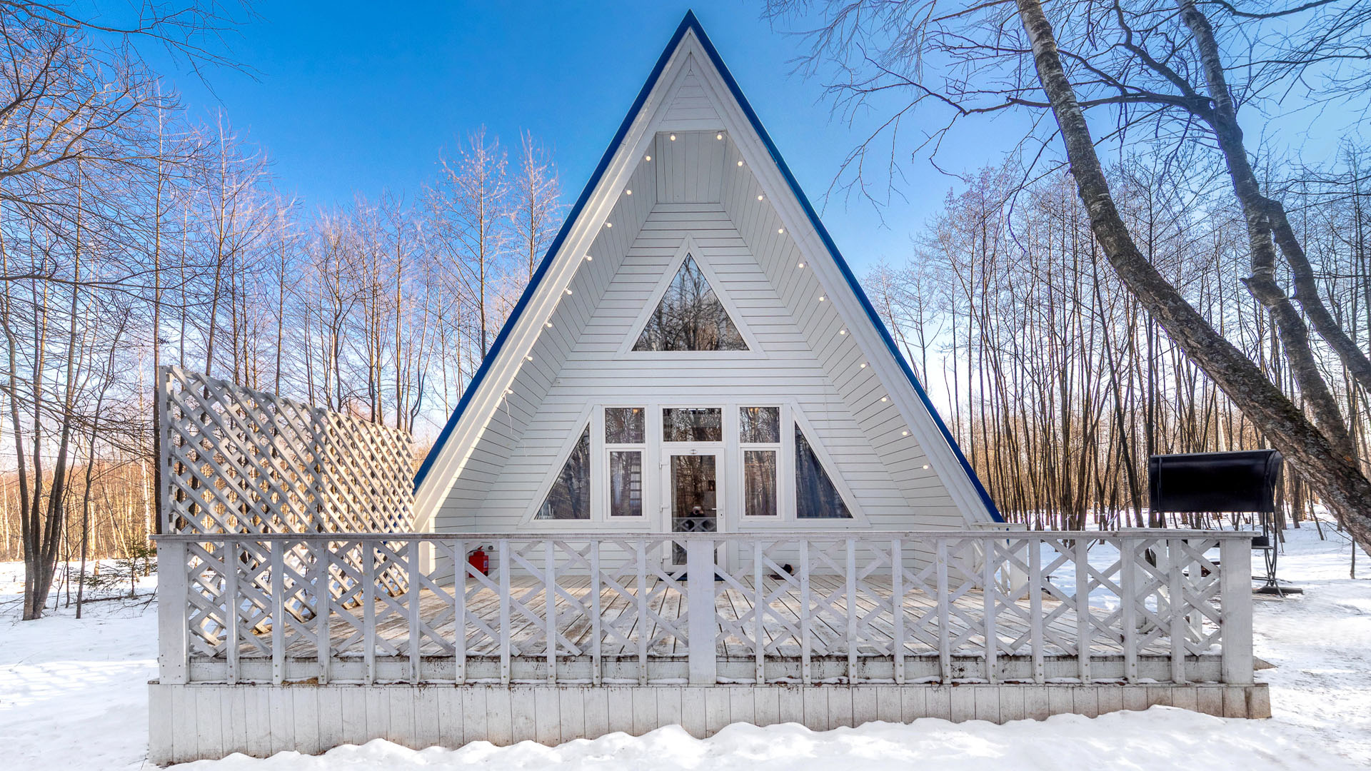 Дом с видом на лес