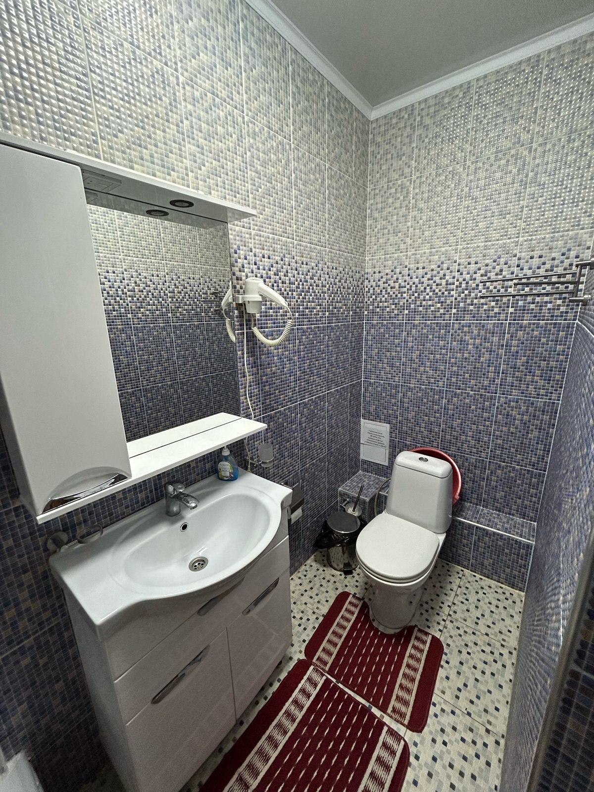 Большой двухместный номер с 1 кроватью