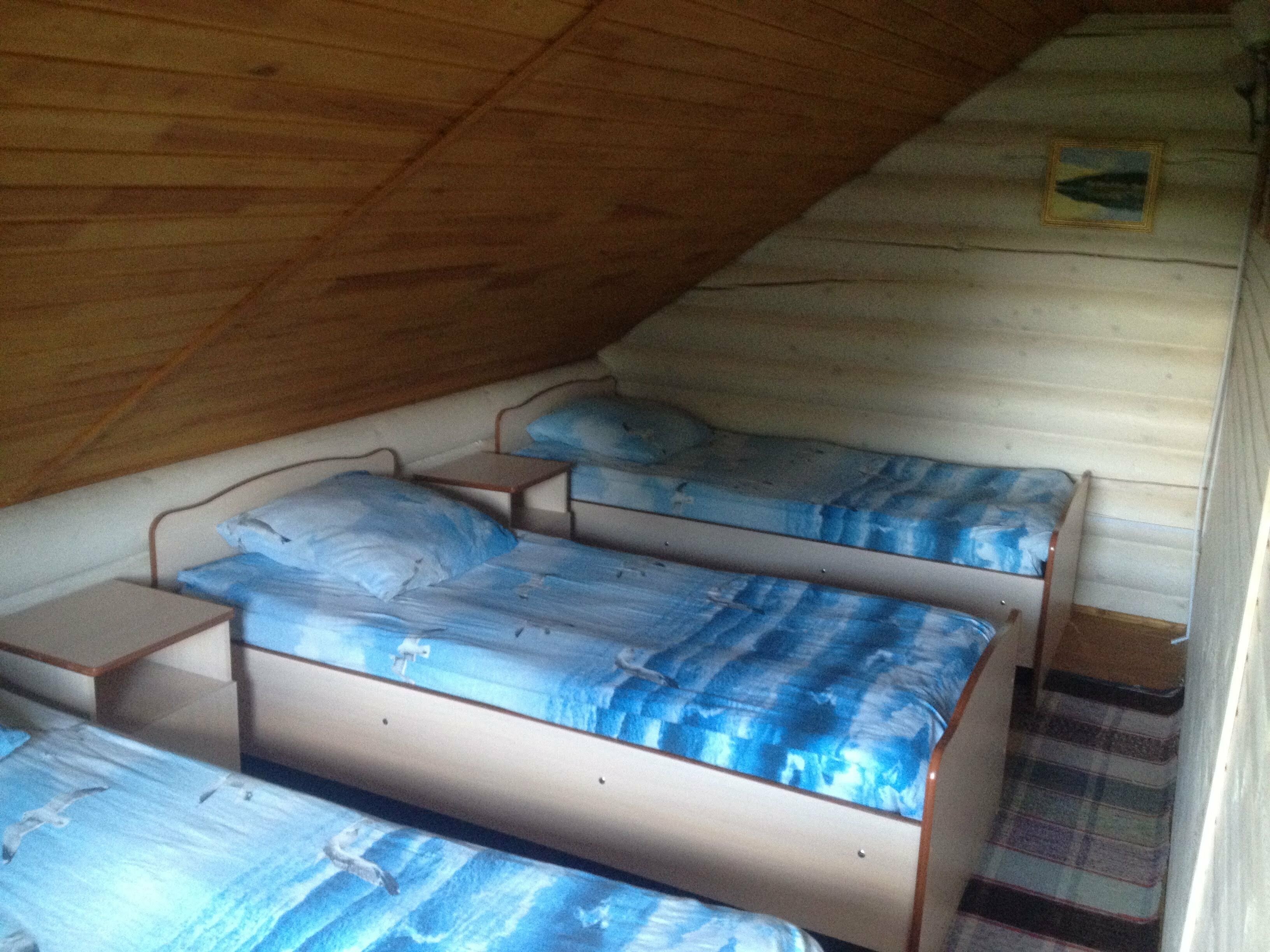 Дом с видом на лес