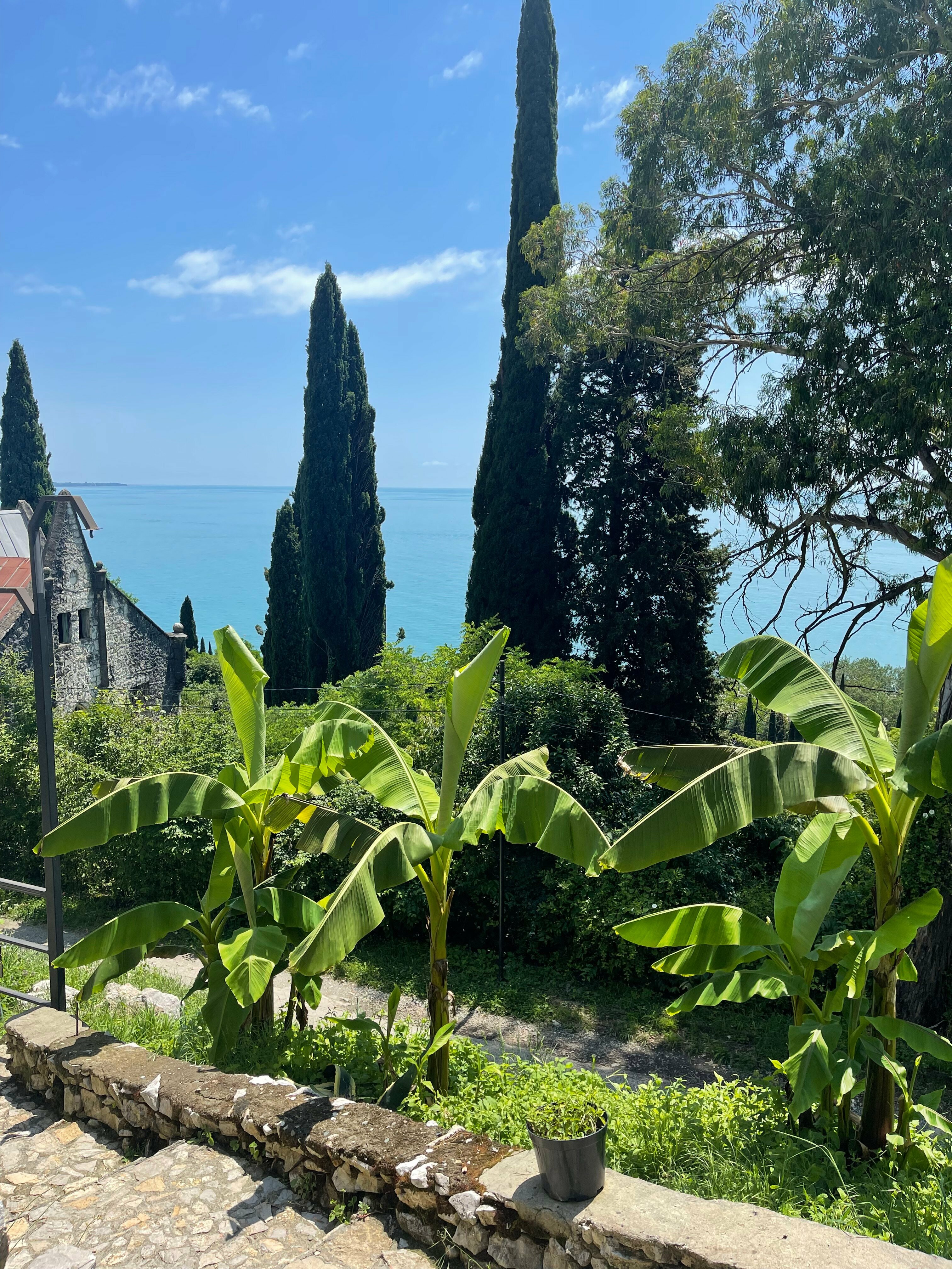 Мини-стандарт с видом на море