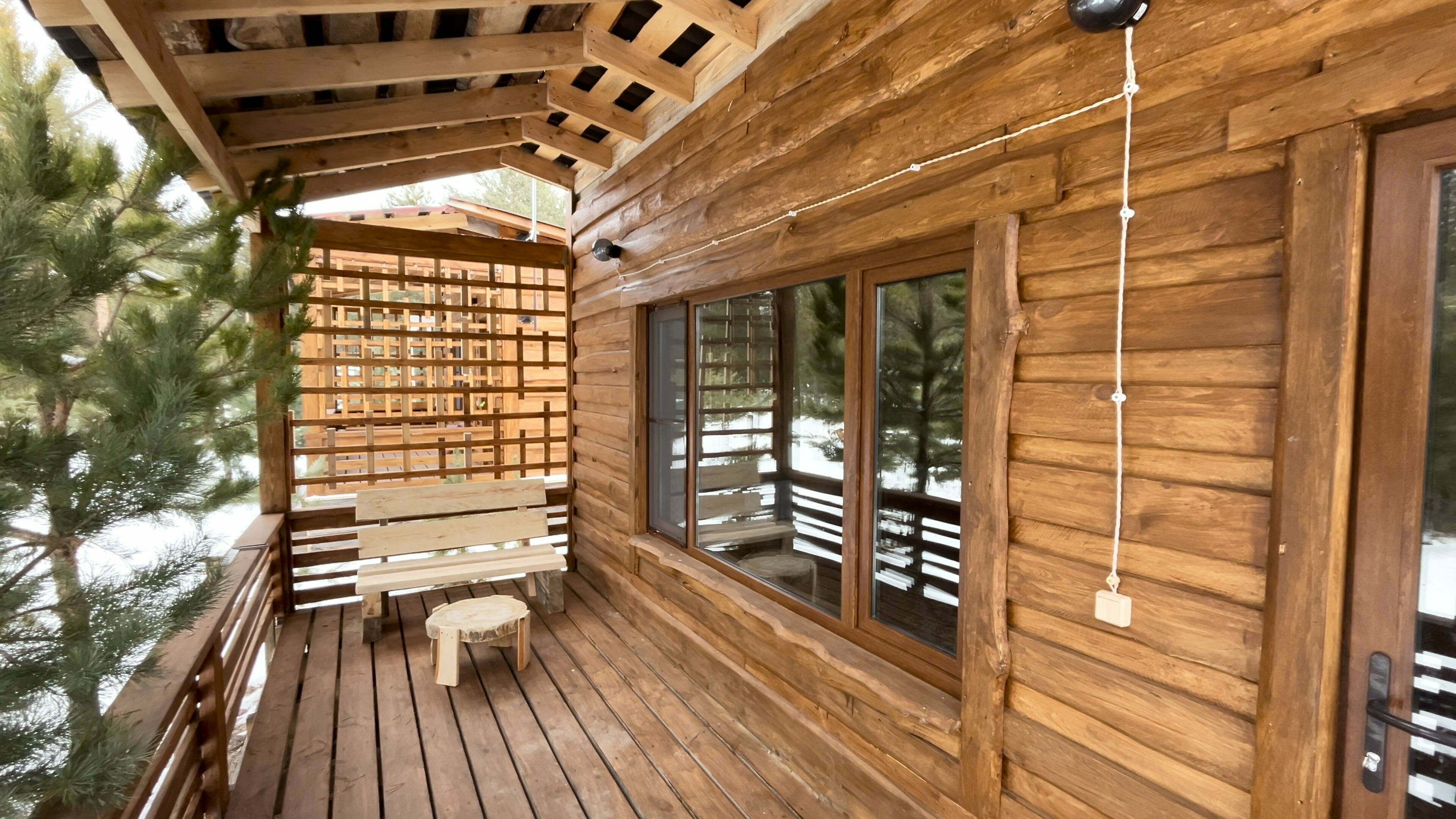 Дом с видом на лес