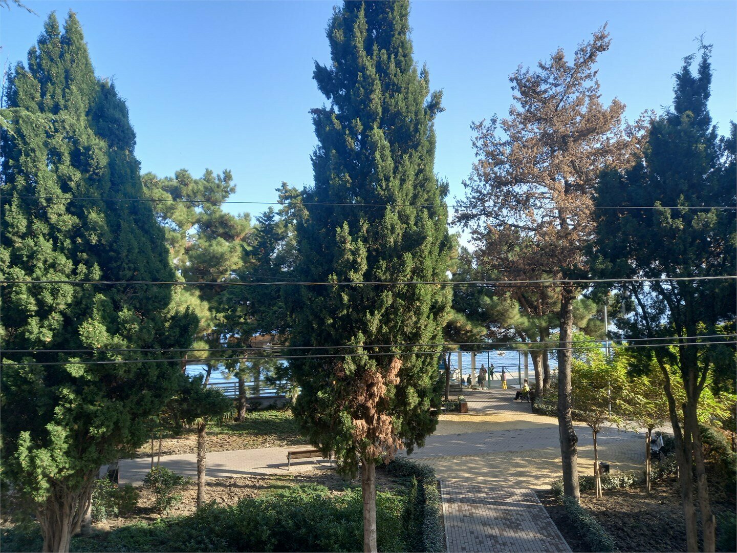 "Комфорт+"  с видом на набережную (2-й этаж)