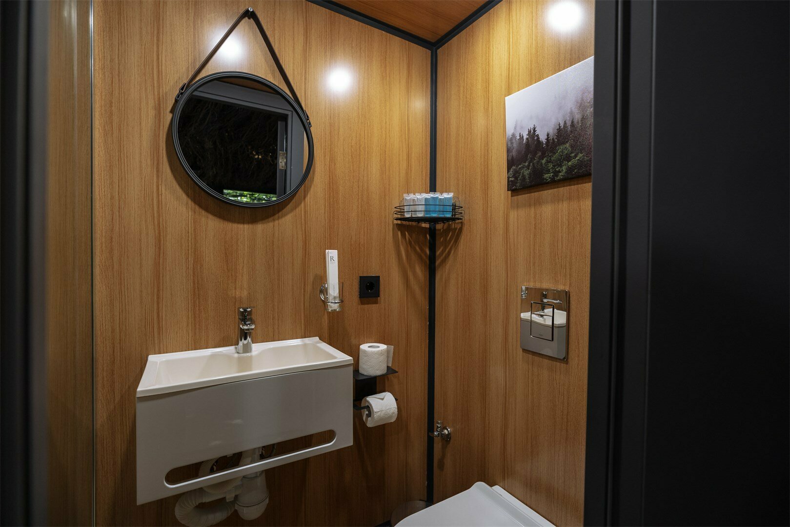 Гнездо на дереве