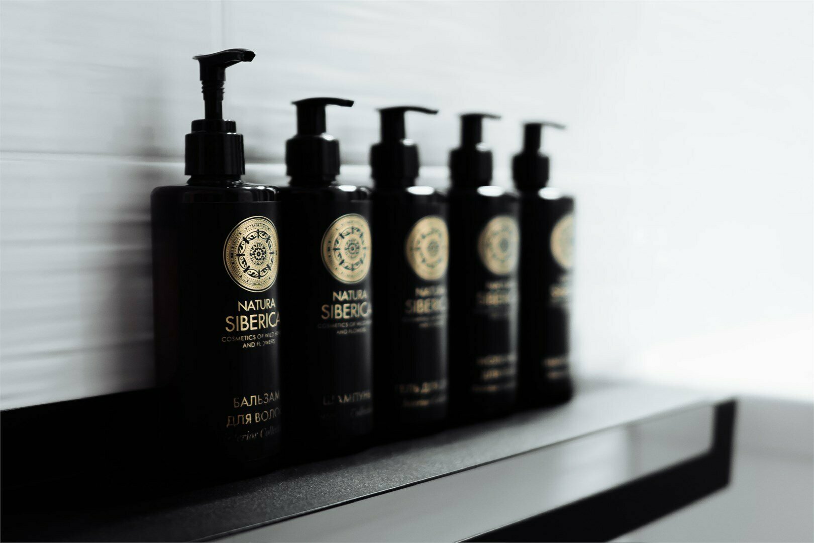 Джуниор Сюит