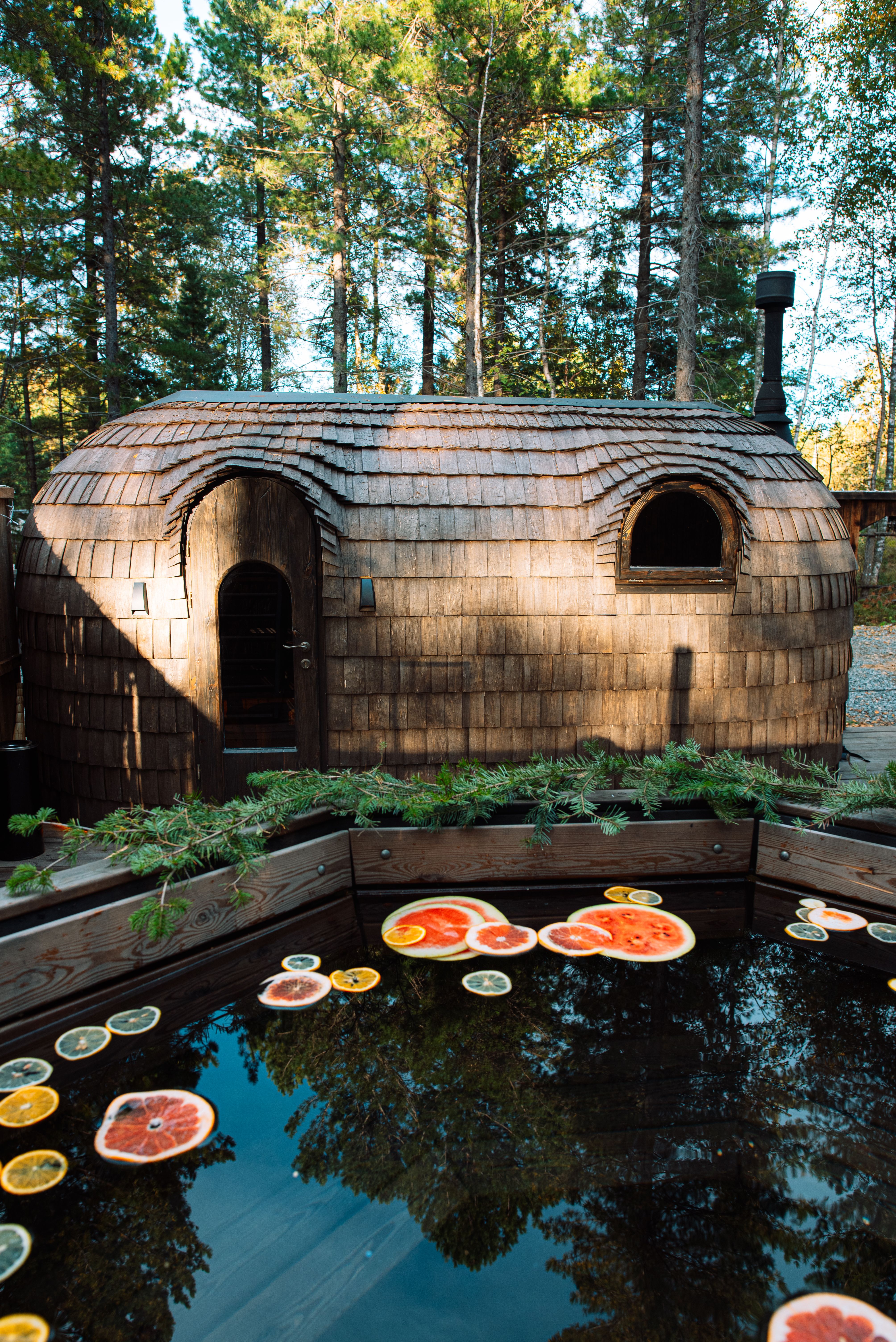 Дом с видом на лес