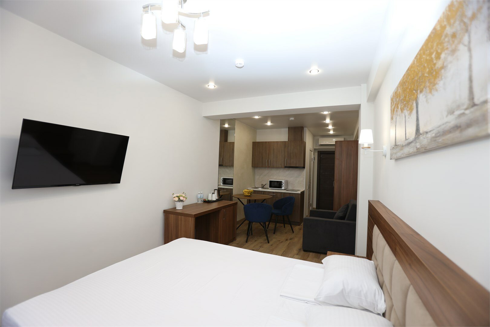 Премиум Studio с кухней