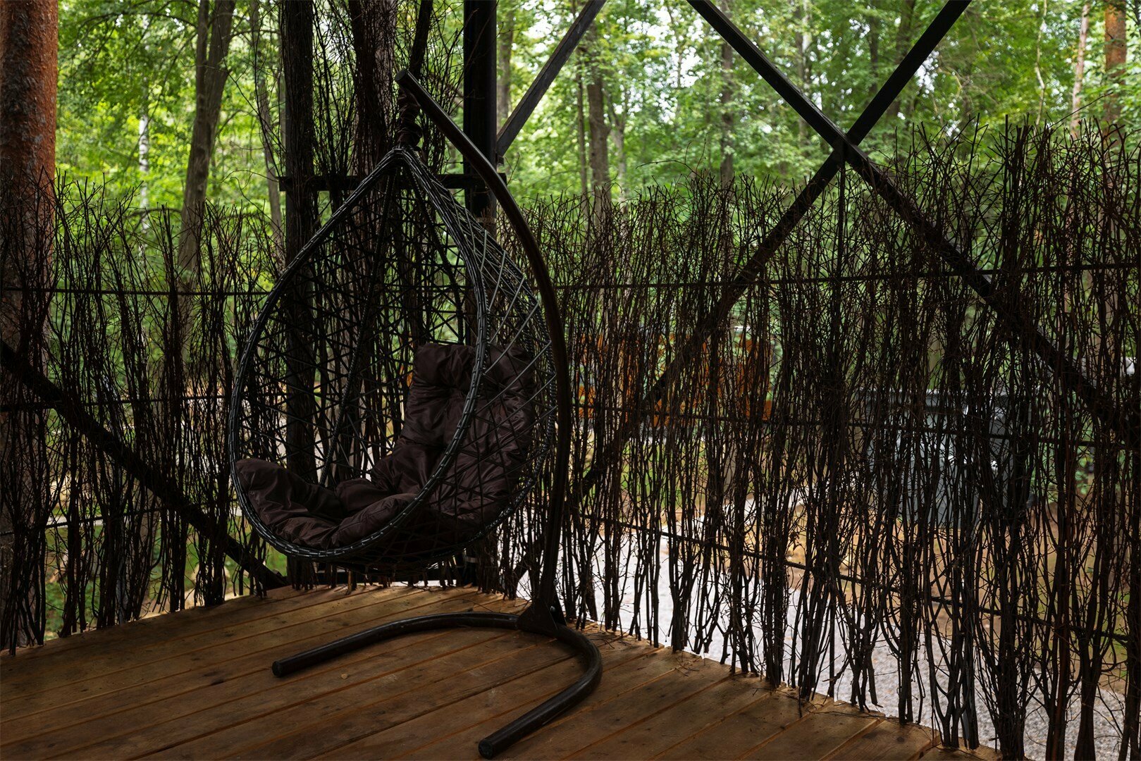 Гнездо на дереве