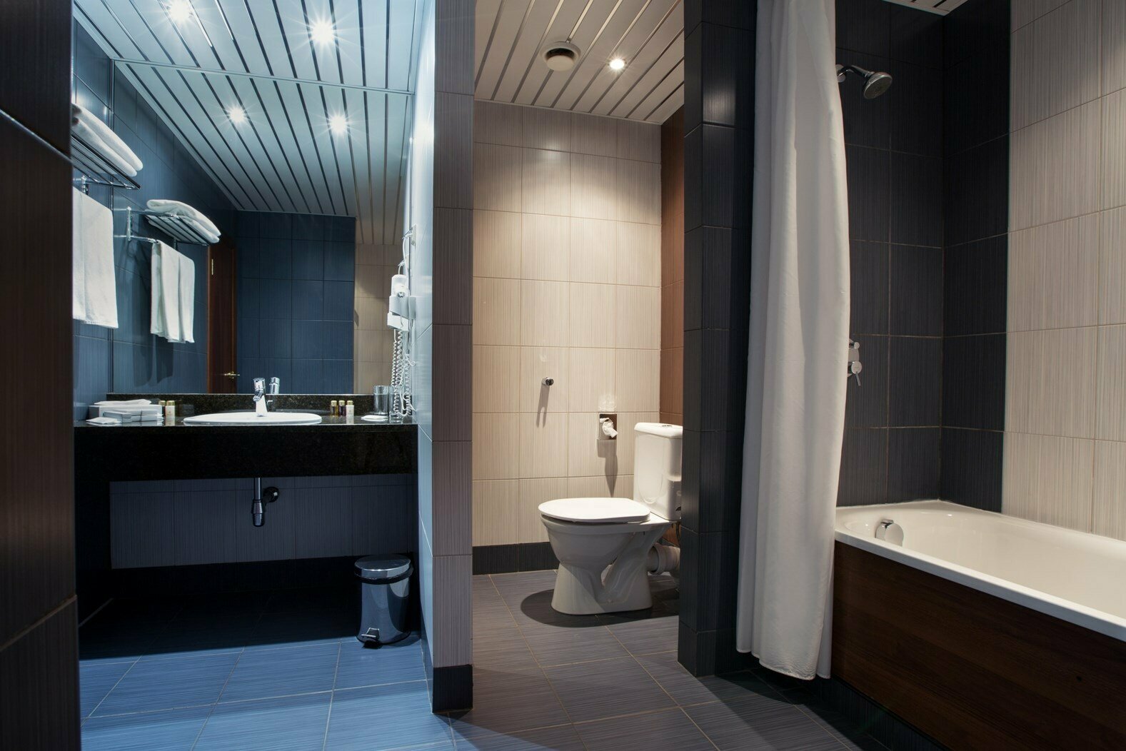 Бизнес класс комфортный с двумя кроватями/ или одной широкой кроватью и диваном-кроватью