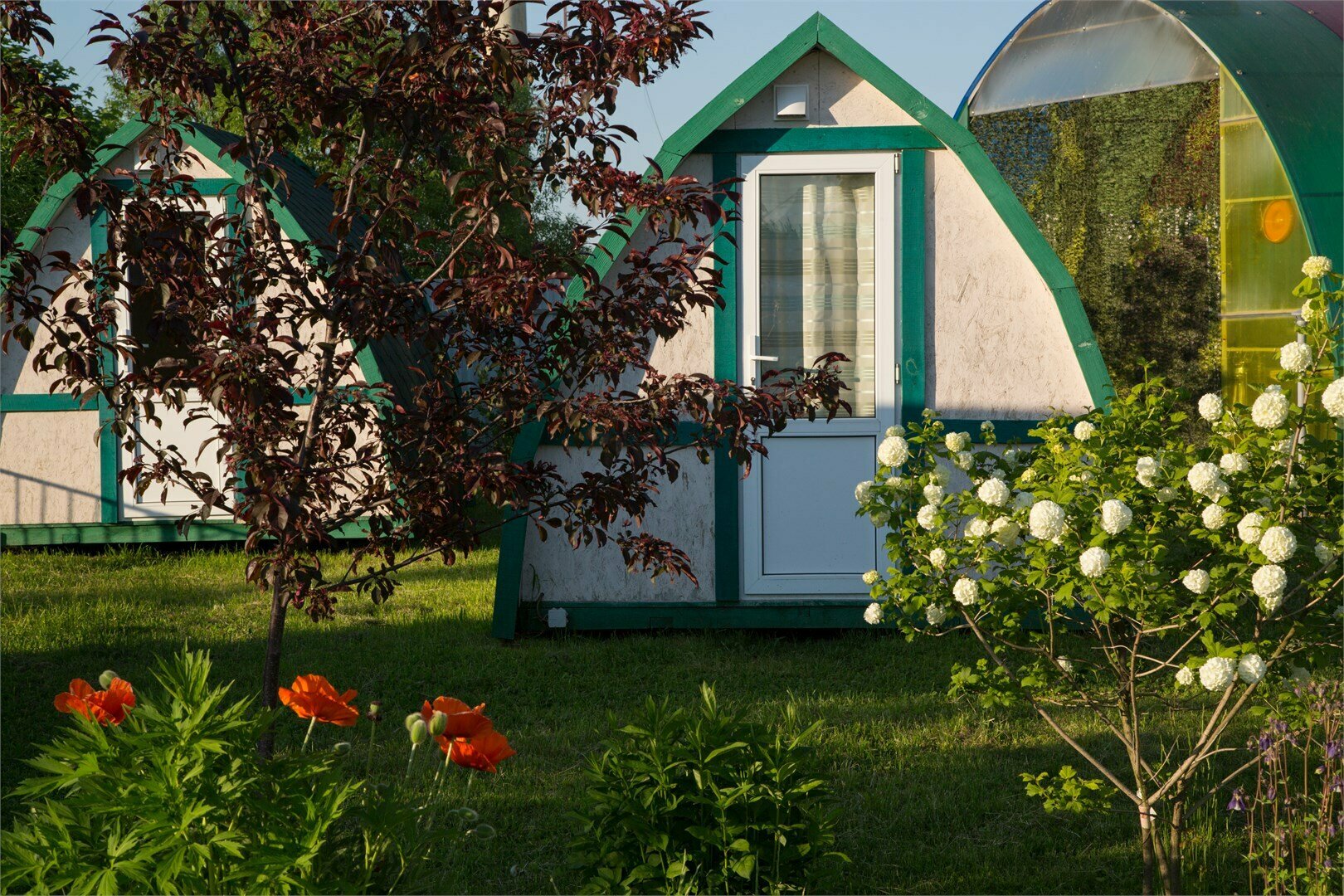 Двухместный номер с двумя односпальными кроватями