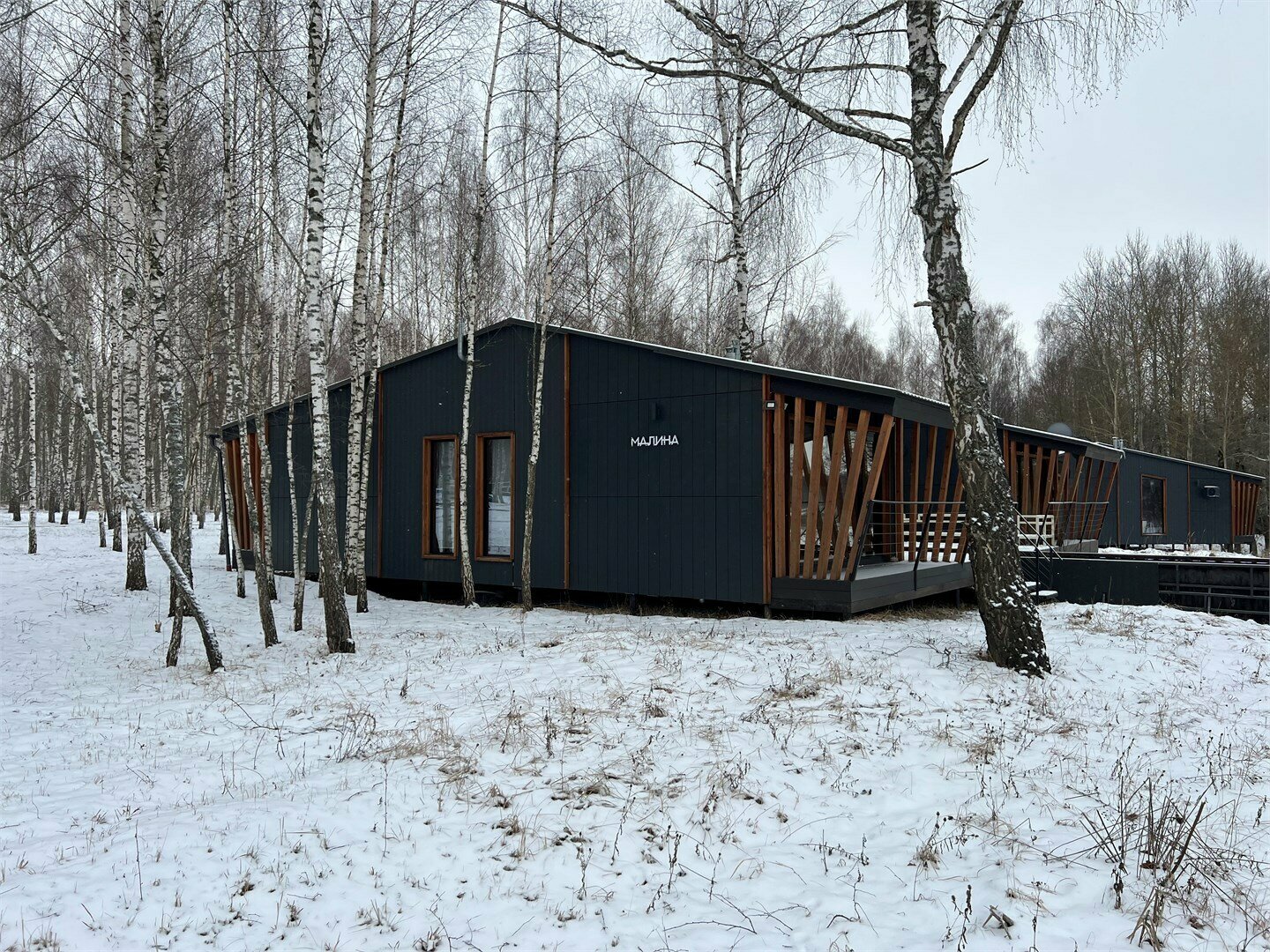 Малина Запад