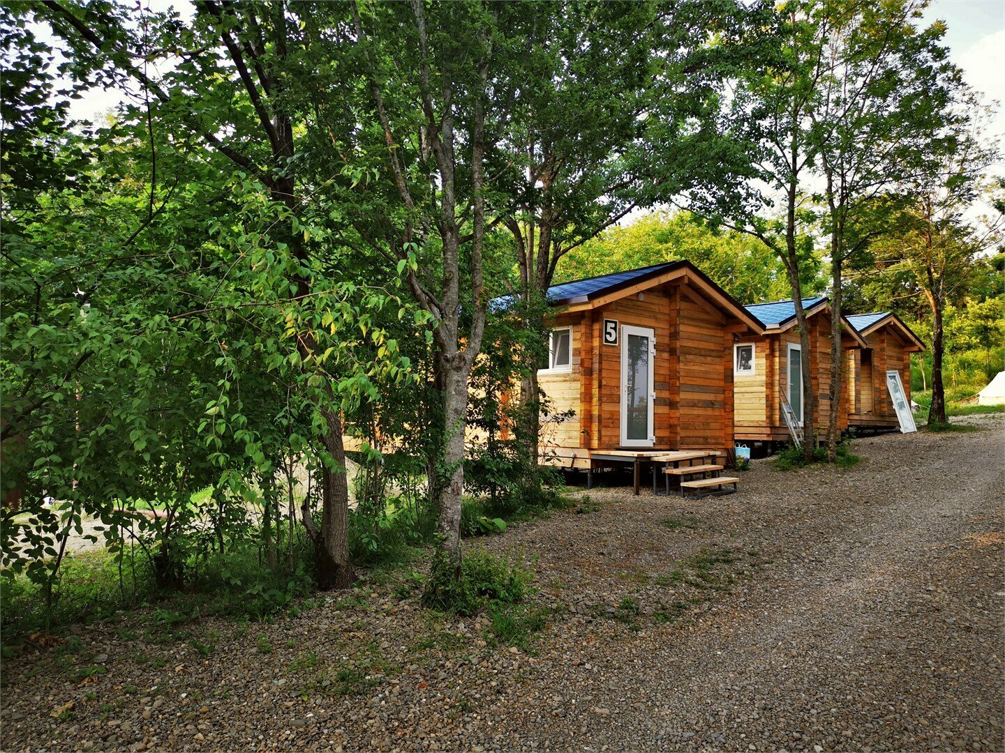 Дом с видом на лес