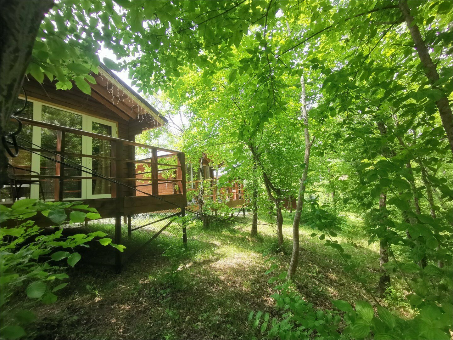 Дом с видом на лес